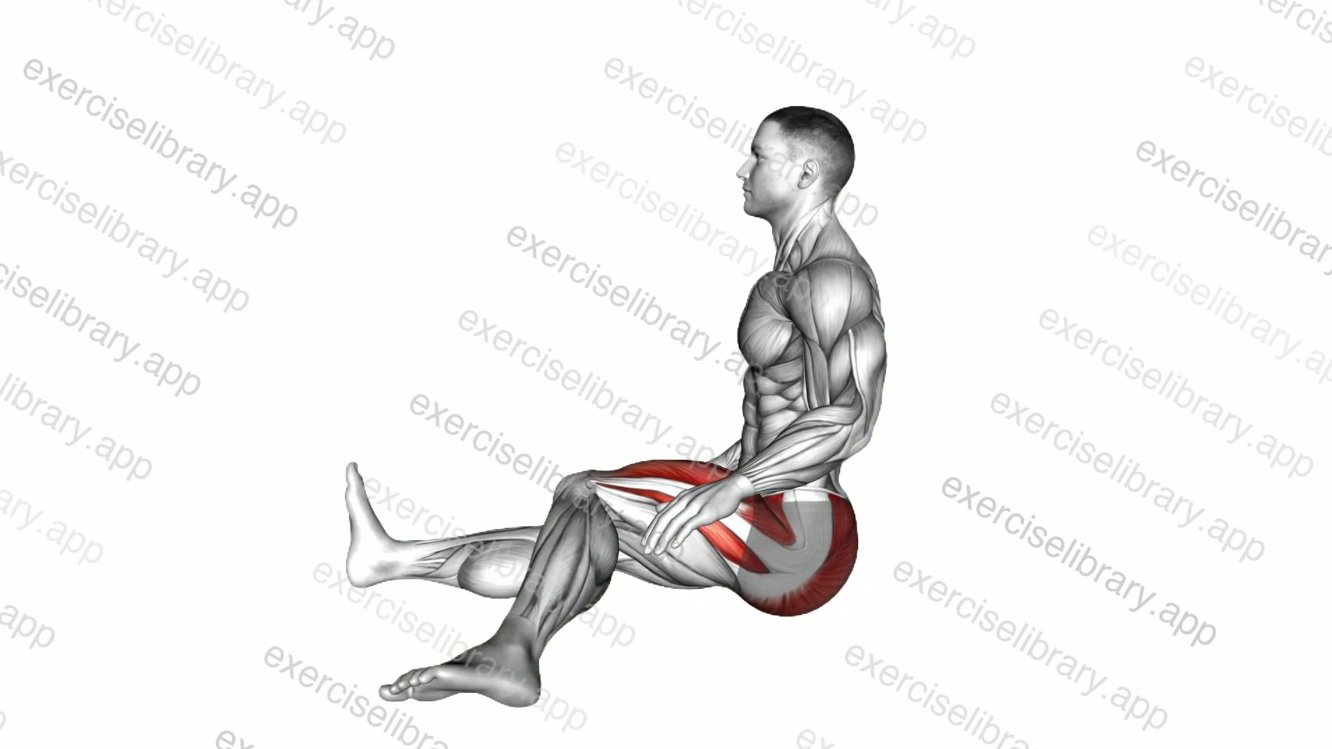 Sitting Alternating Quads Stretch demonstration