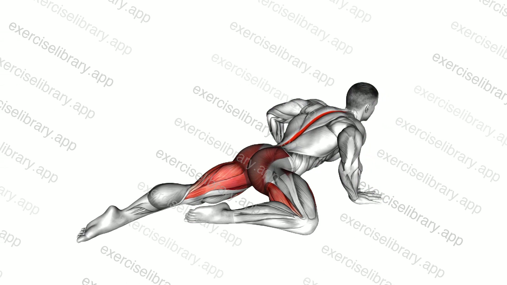 Half Frog Stretch demonstration