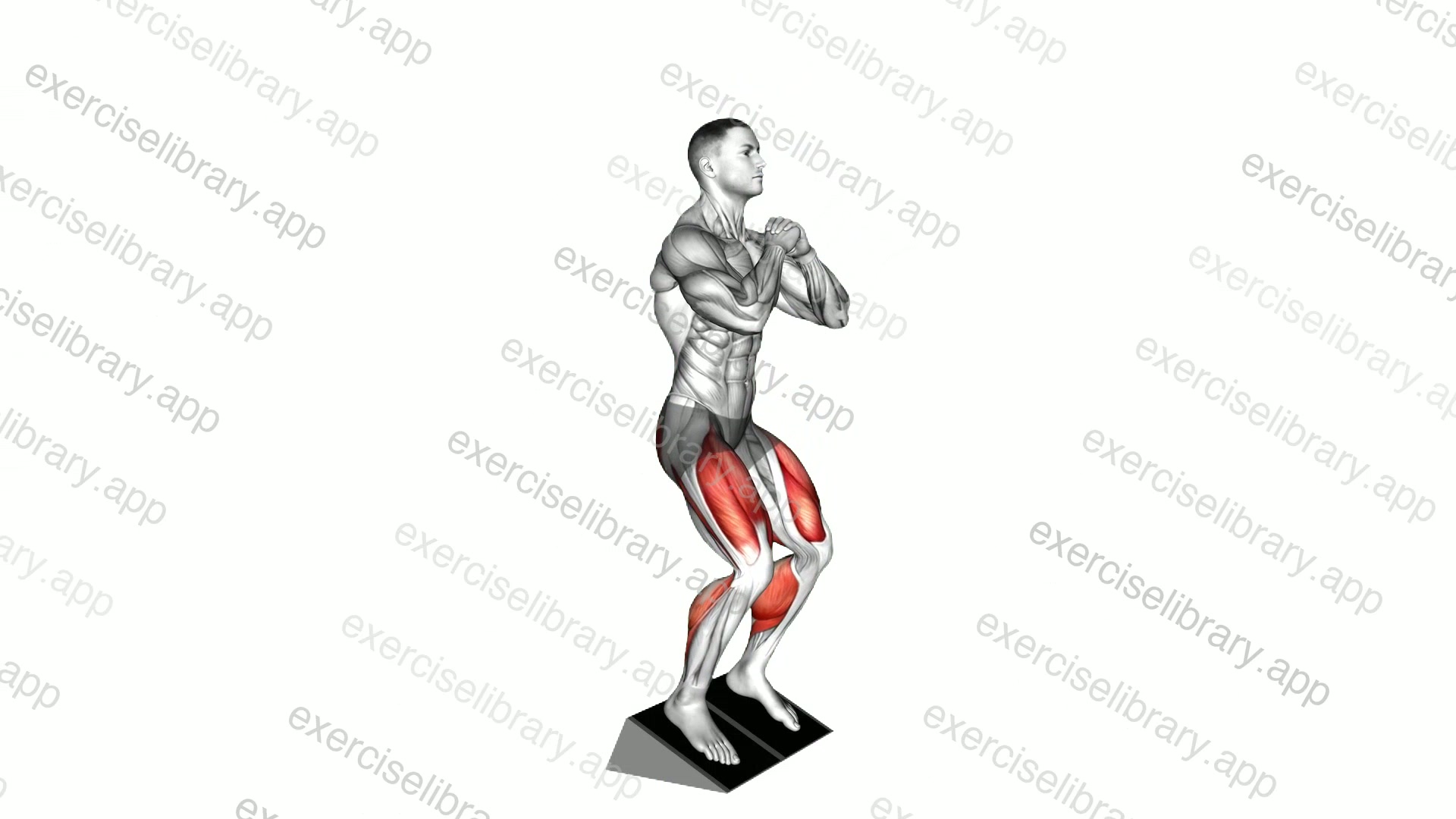Bodyweight Elevated Heel Front Squat demonstration