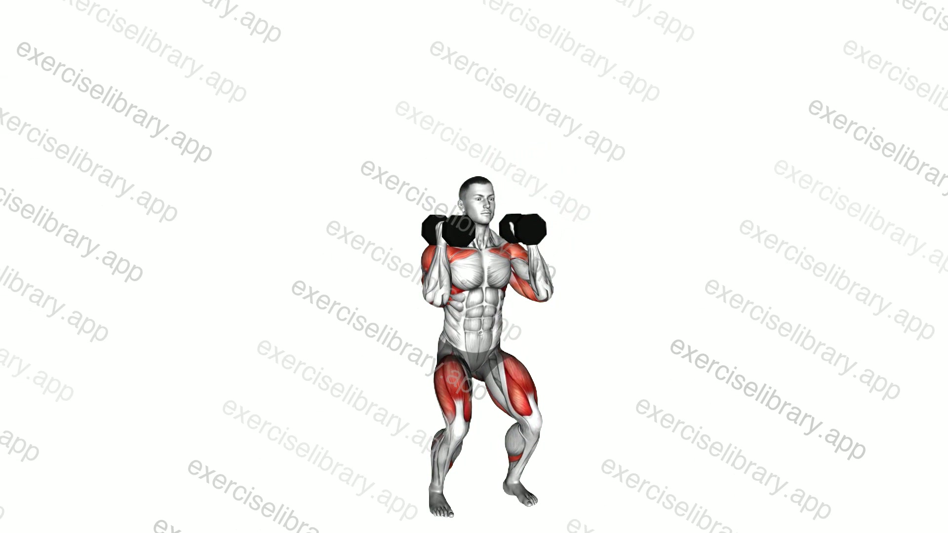 Dumbbell Alternating Arm Thruster demonstration