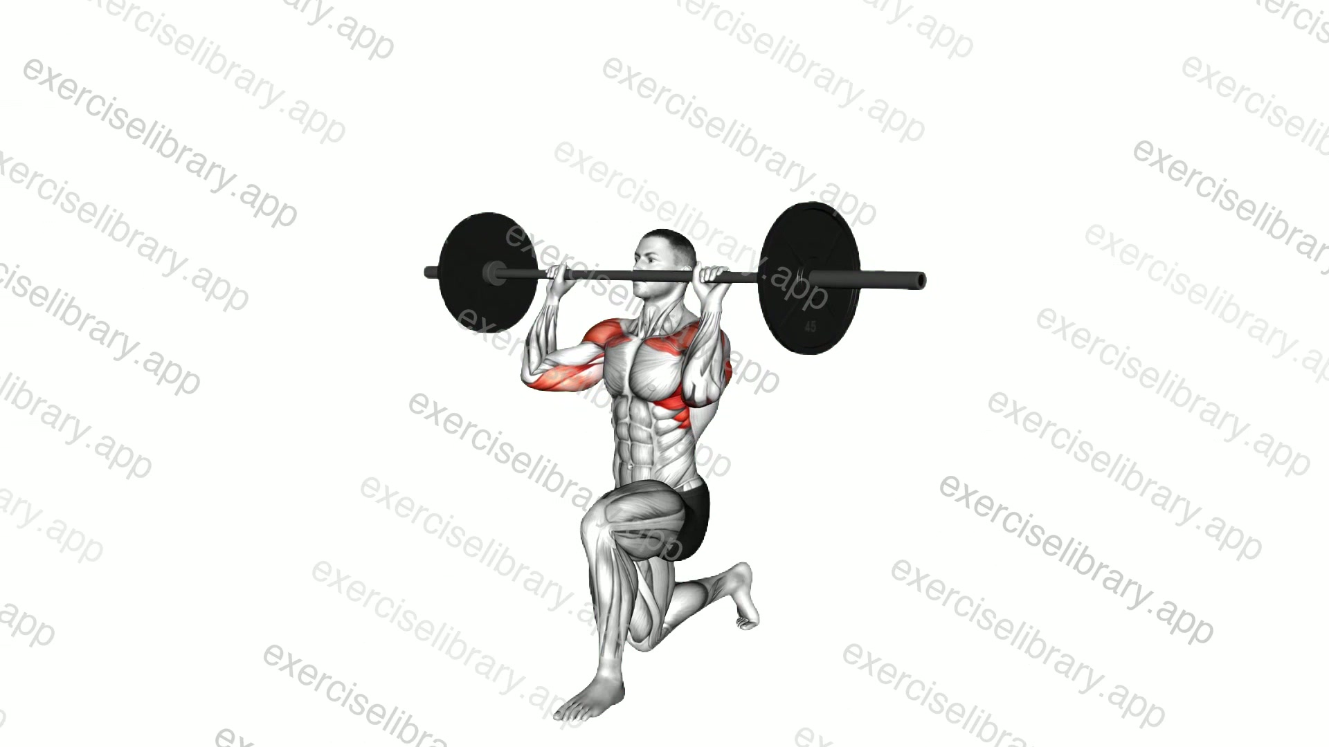 Barbell Half Kneeling Shoulders Press demonstration