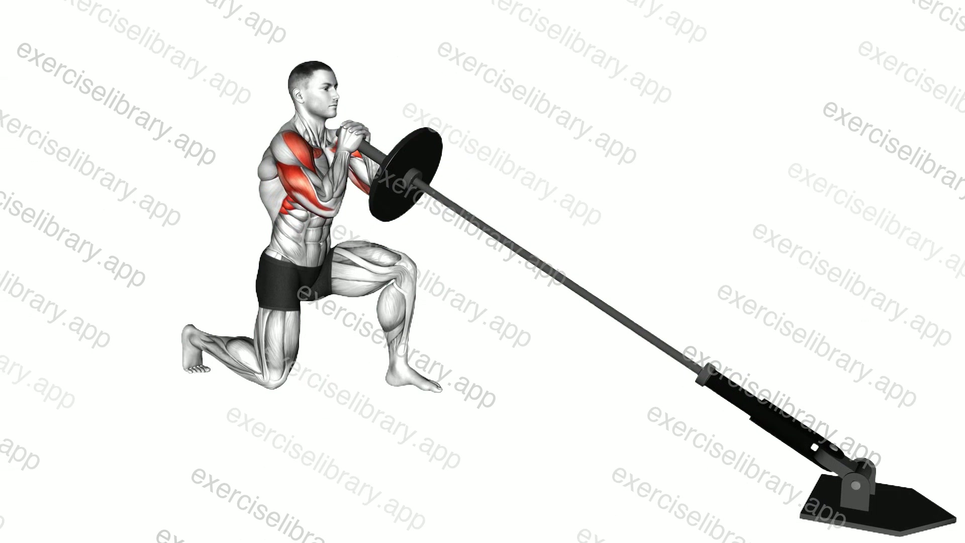 Landmine Half Kneeling Shoulders Press demonstration
