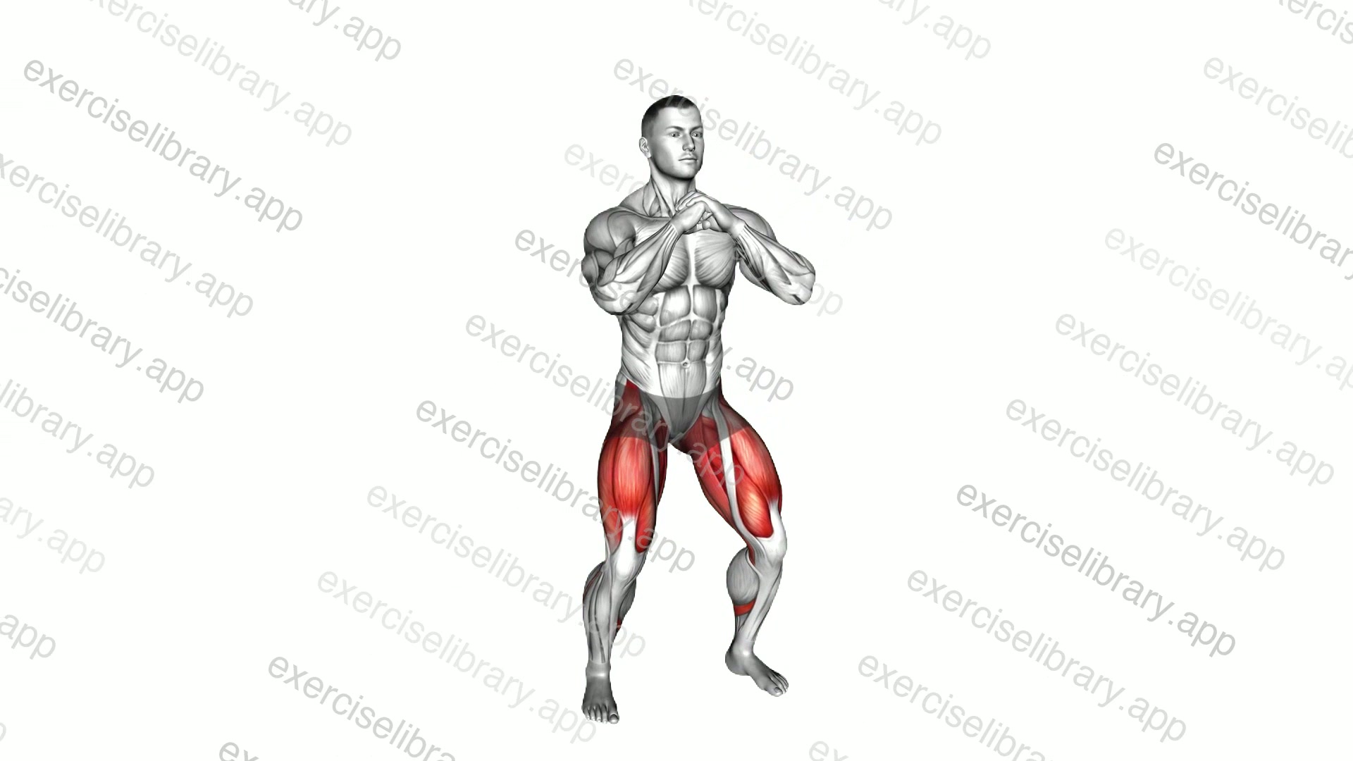Bodyweight Pulse Goblet Squat demonstration
