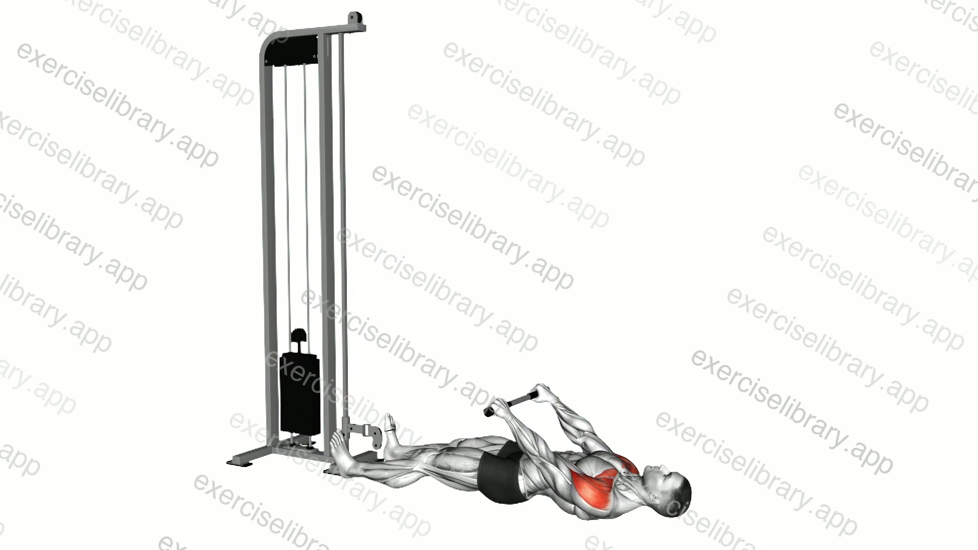 Cable Lying Floor Front Raise demonstration