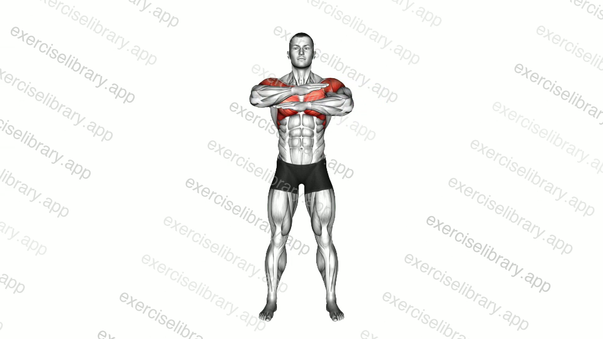 Standing Chest Cross Stretch demonstration