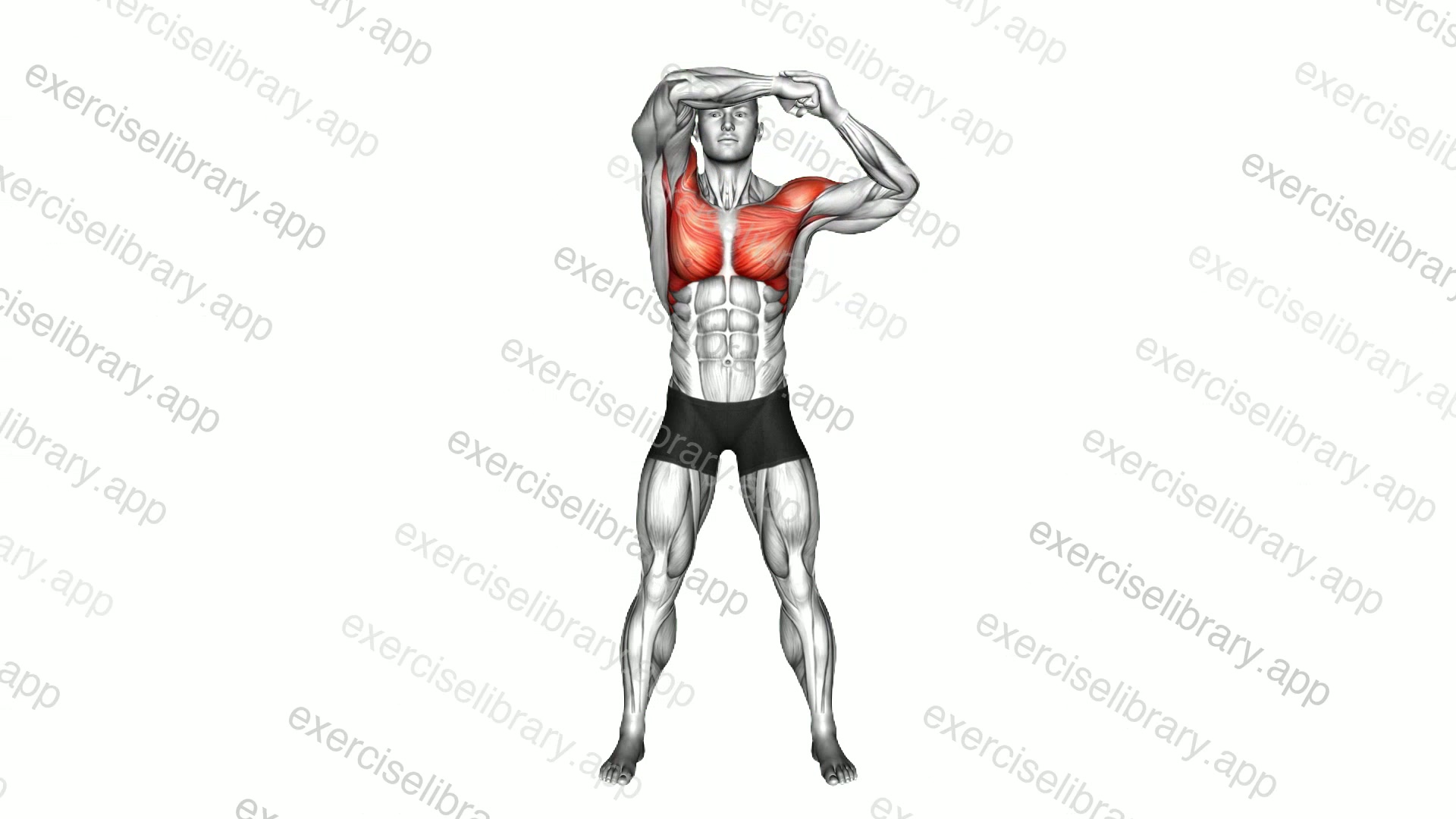 Hand Overhead Circle demonstration