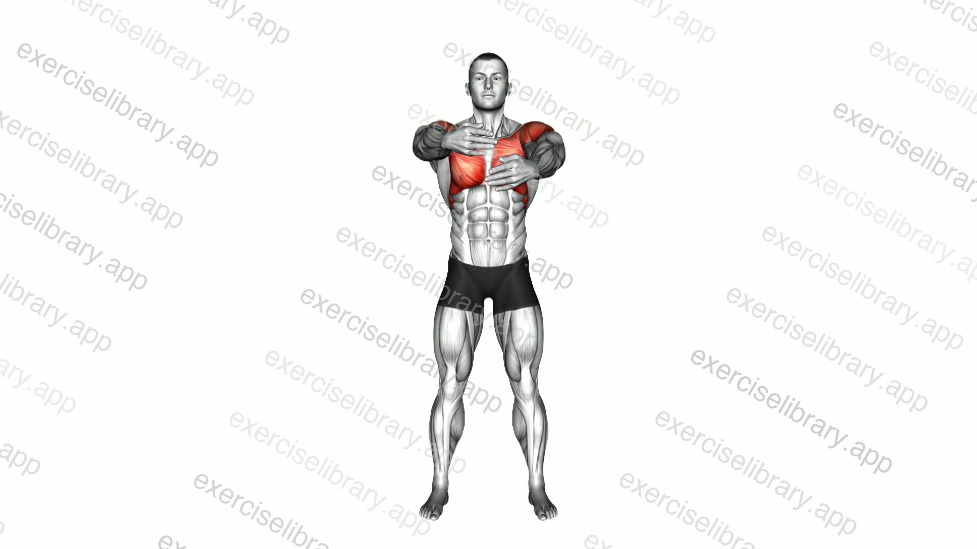 Standing Triple Arm Cross demonstration