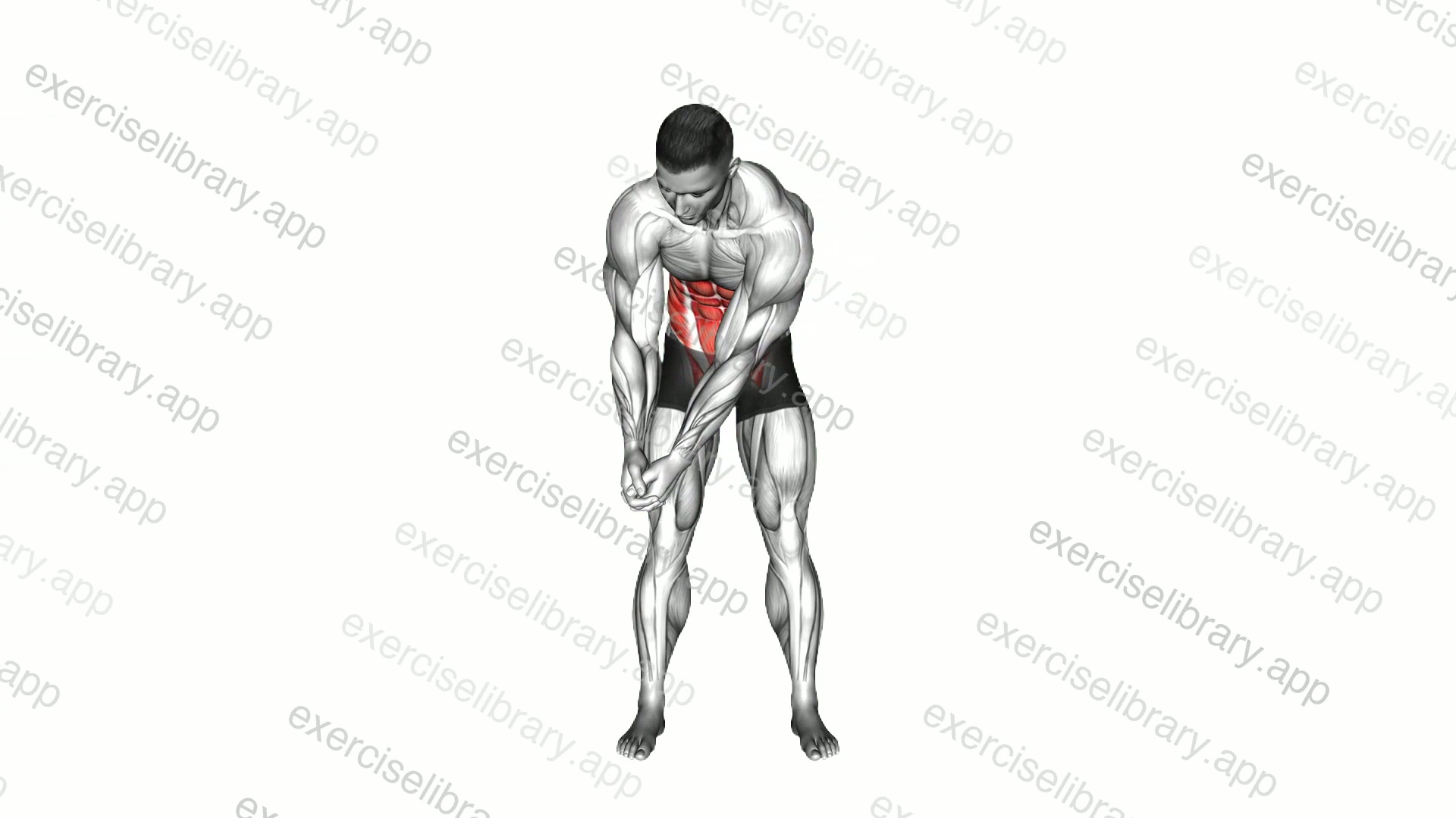 Standing Clasp Hands Shoulders Forward Swing demonstration