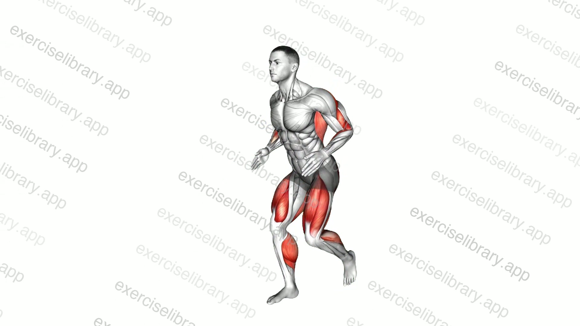 Stepback Row demonstration