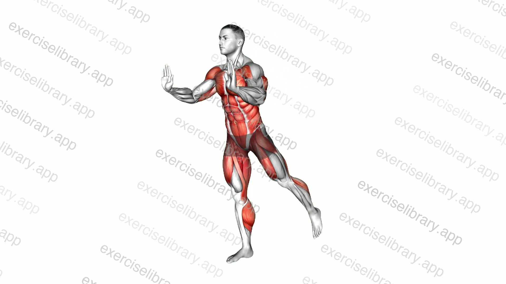 Standing Chest Push Hip Extension Kickback demonstration