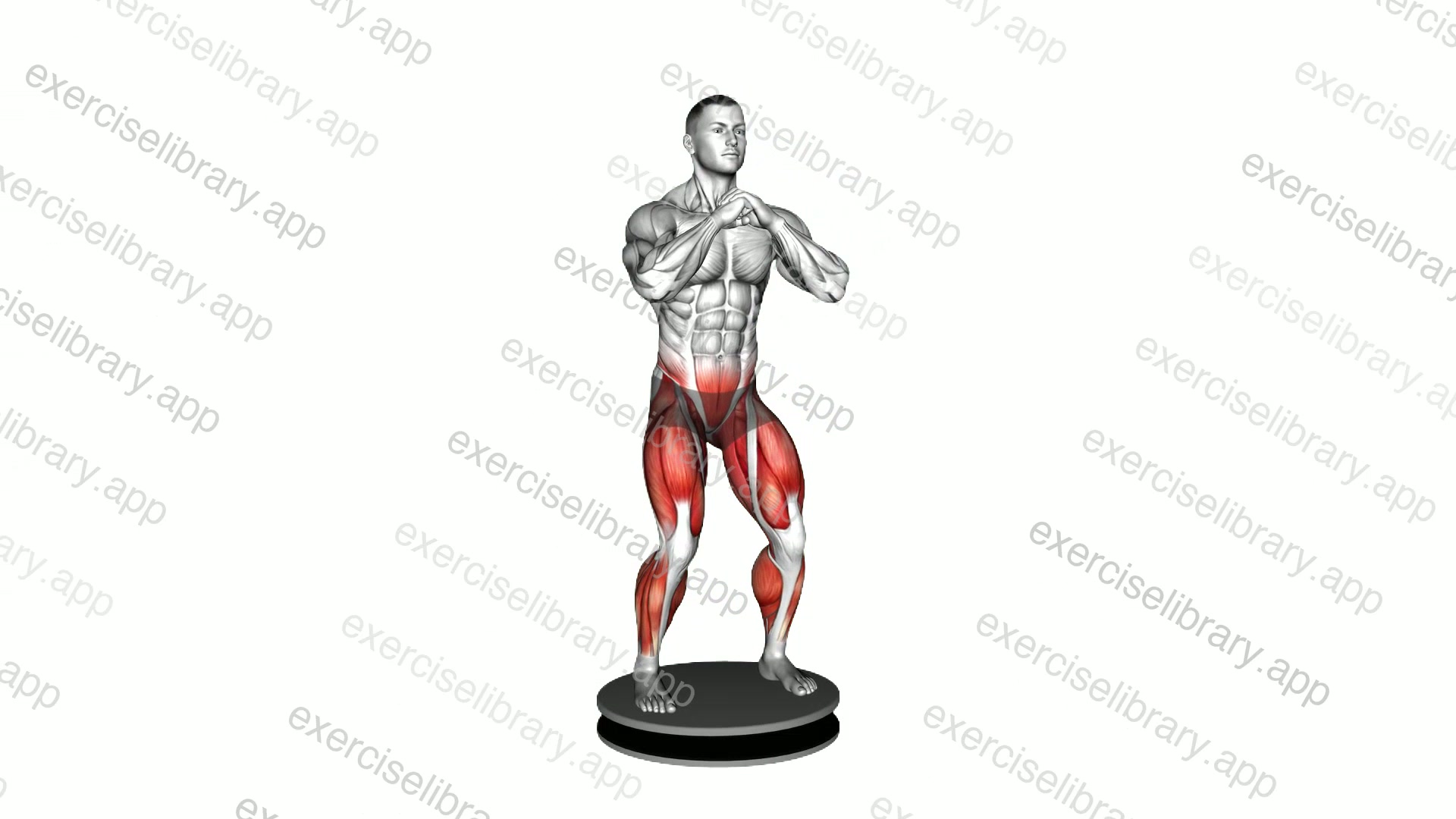 Balance Disk Squat demonstration