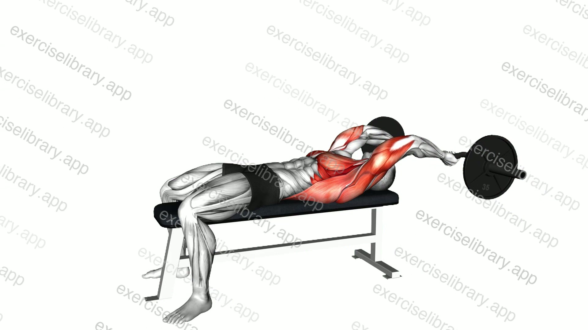 Ez Bar Lying Straight Arms Pullover demonstration