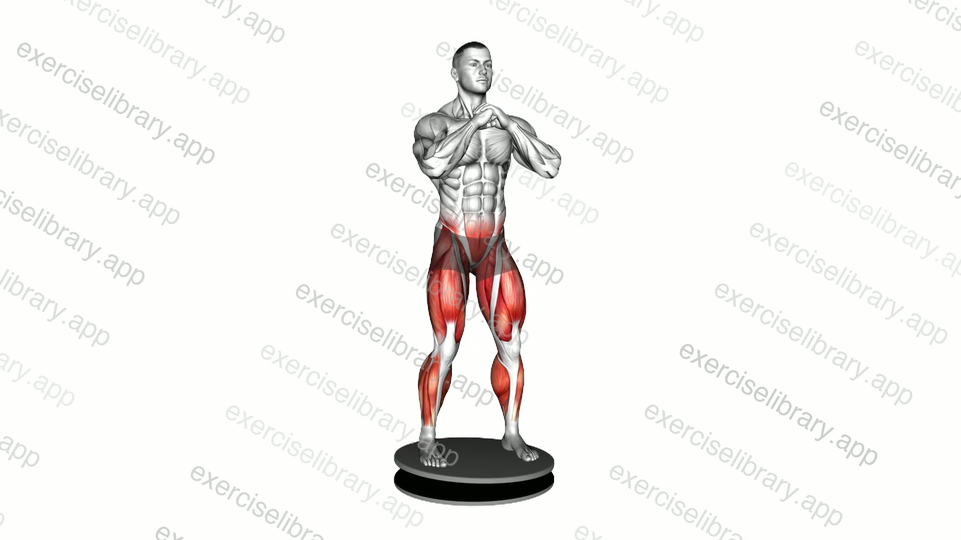 Balance Disk Standing demonstration