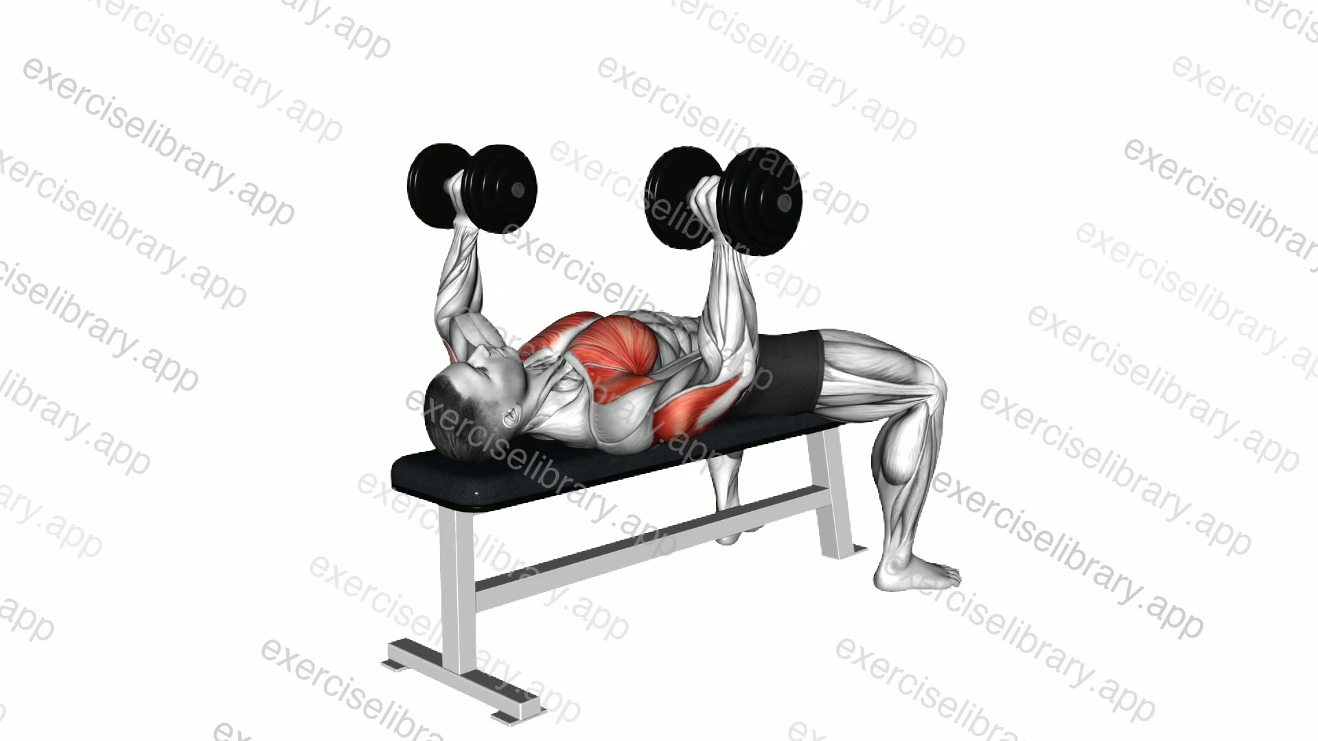 Dumbbell Variable Press demonstration