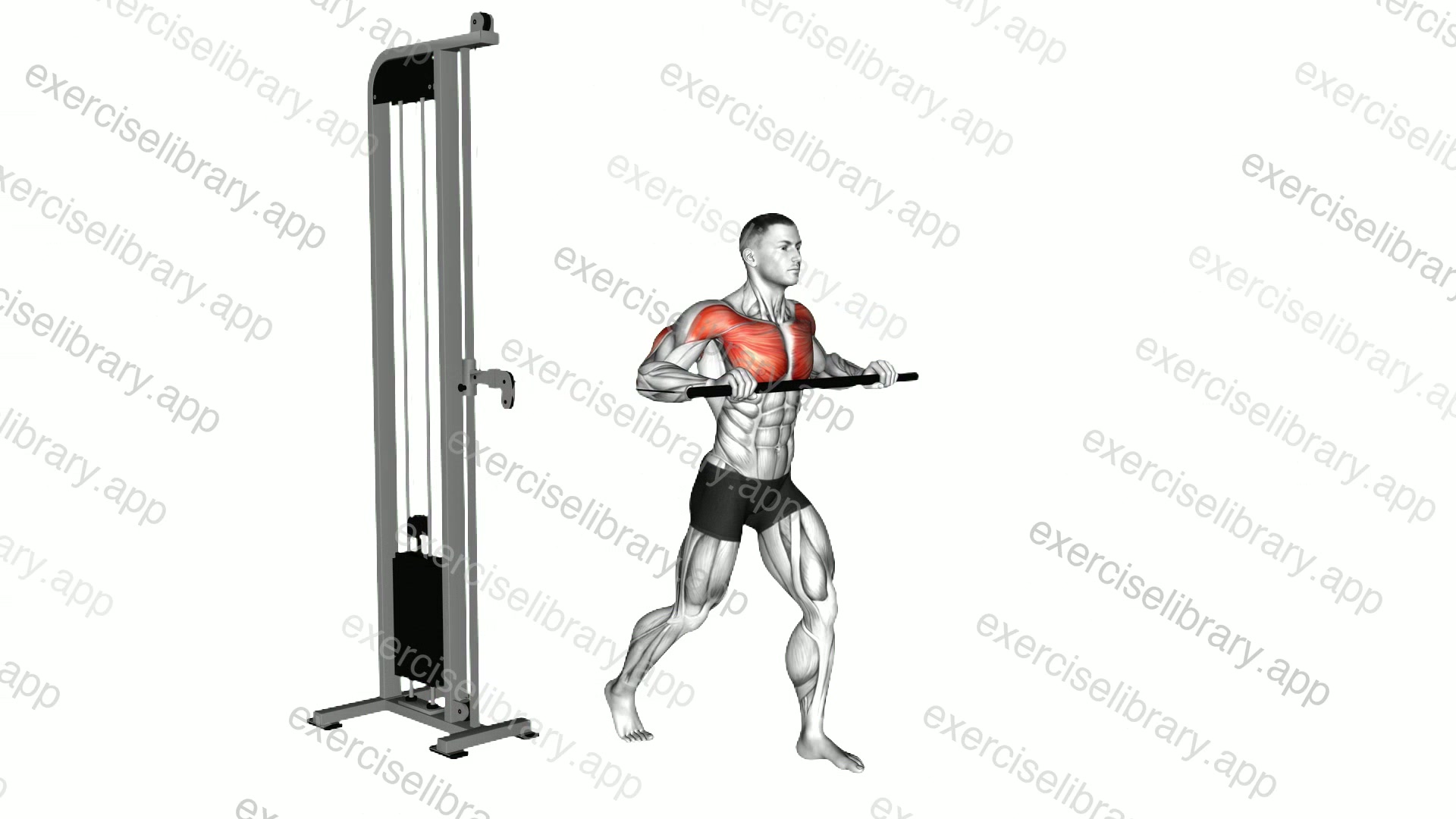 Cable Standing Contralateral Chest Press demonstration