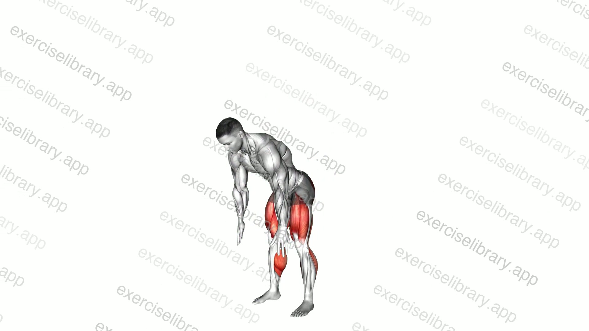 Forward Fold Squat Mobilization demonstration