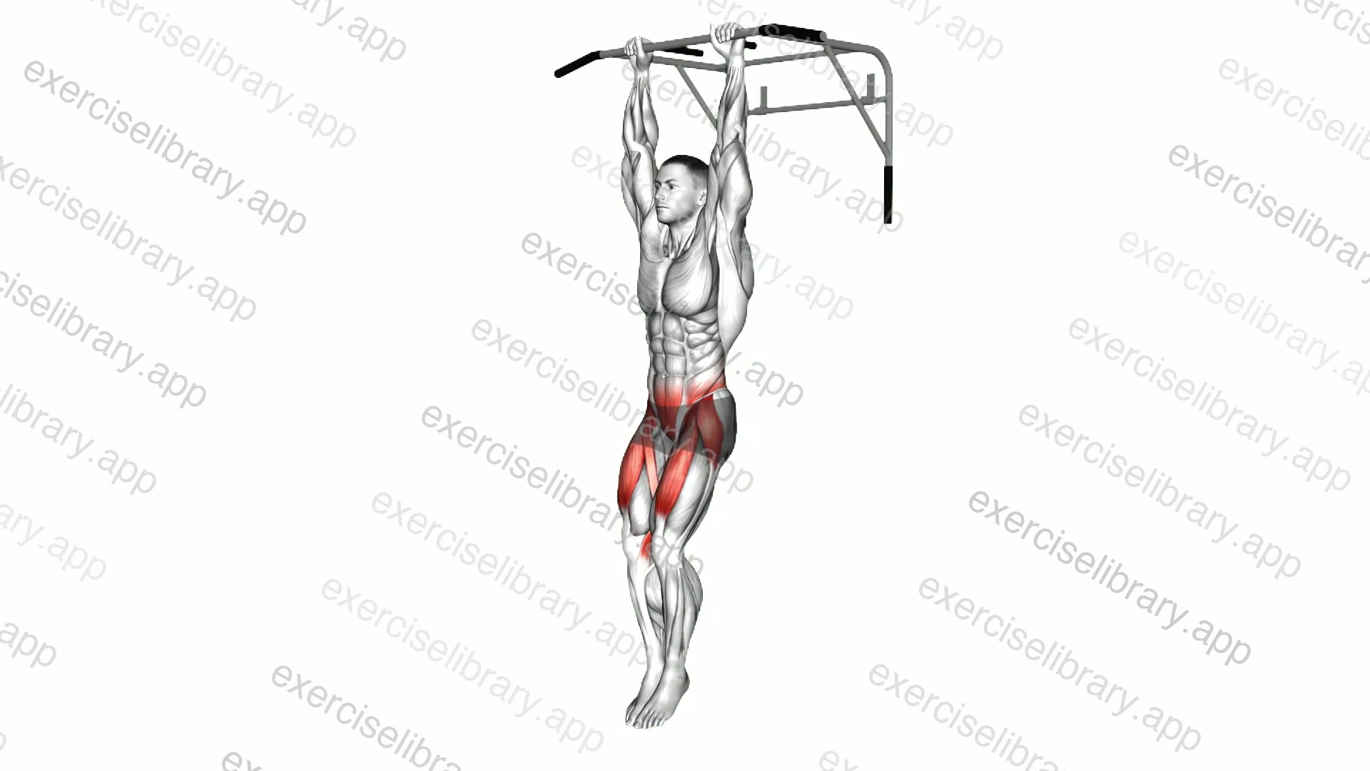 Hanging Knee Raise demonstration