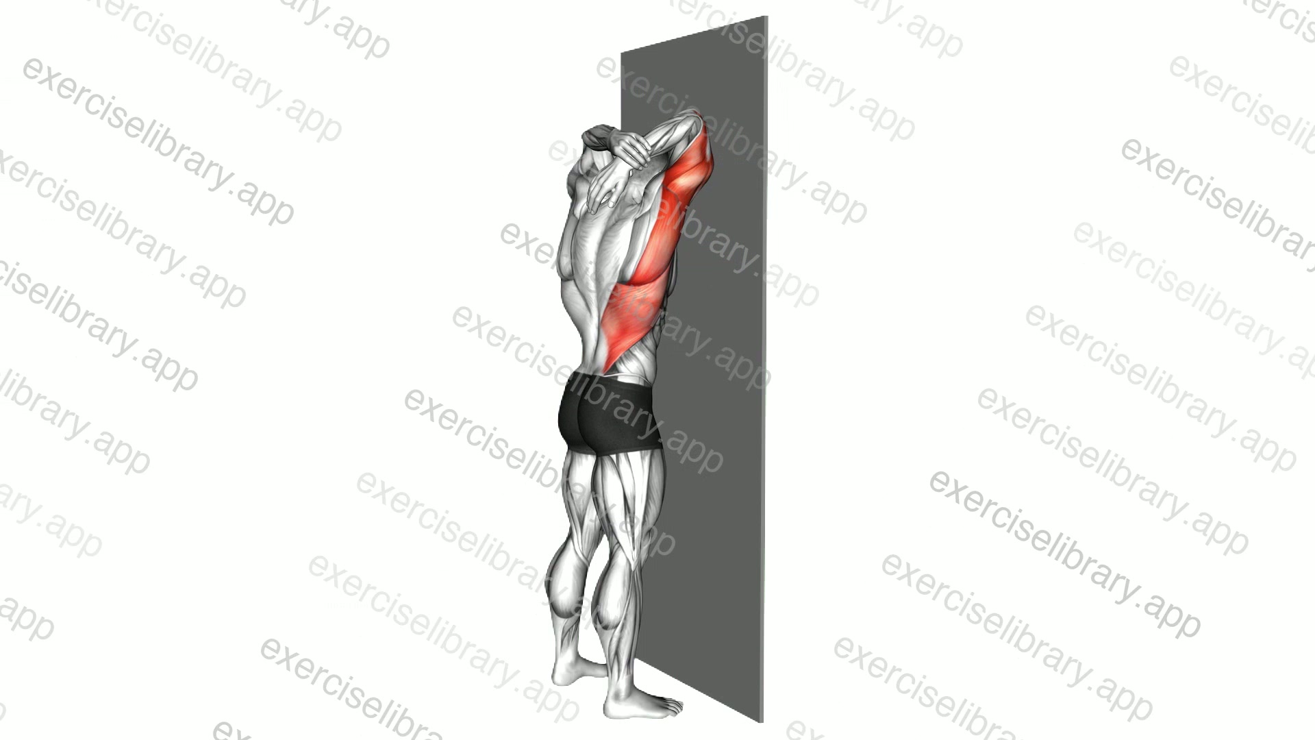 Standing Triceps Stretch against Wall demonstration