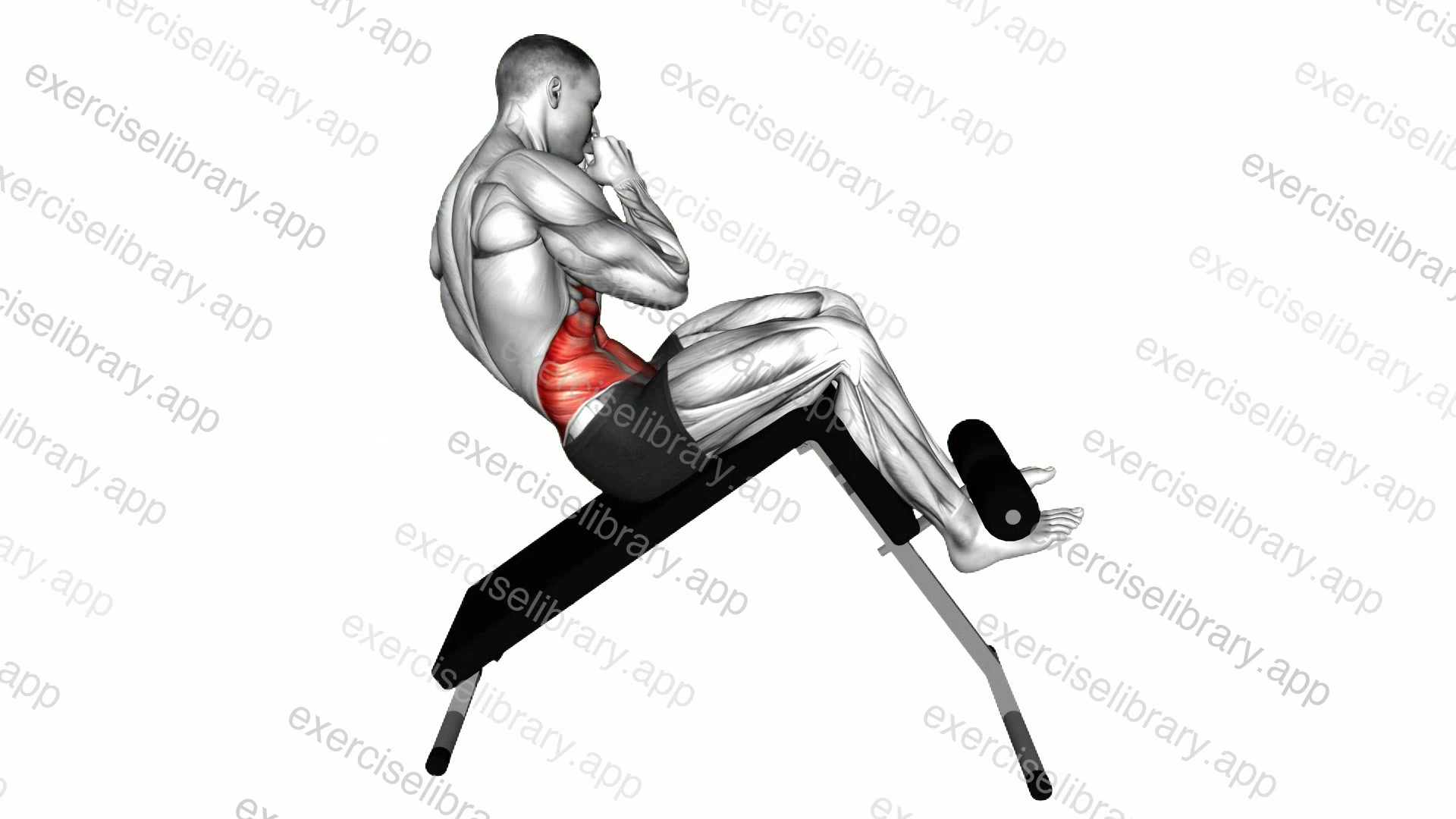 Decline Cross Sit-up demonstration
