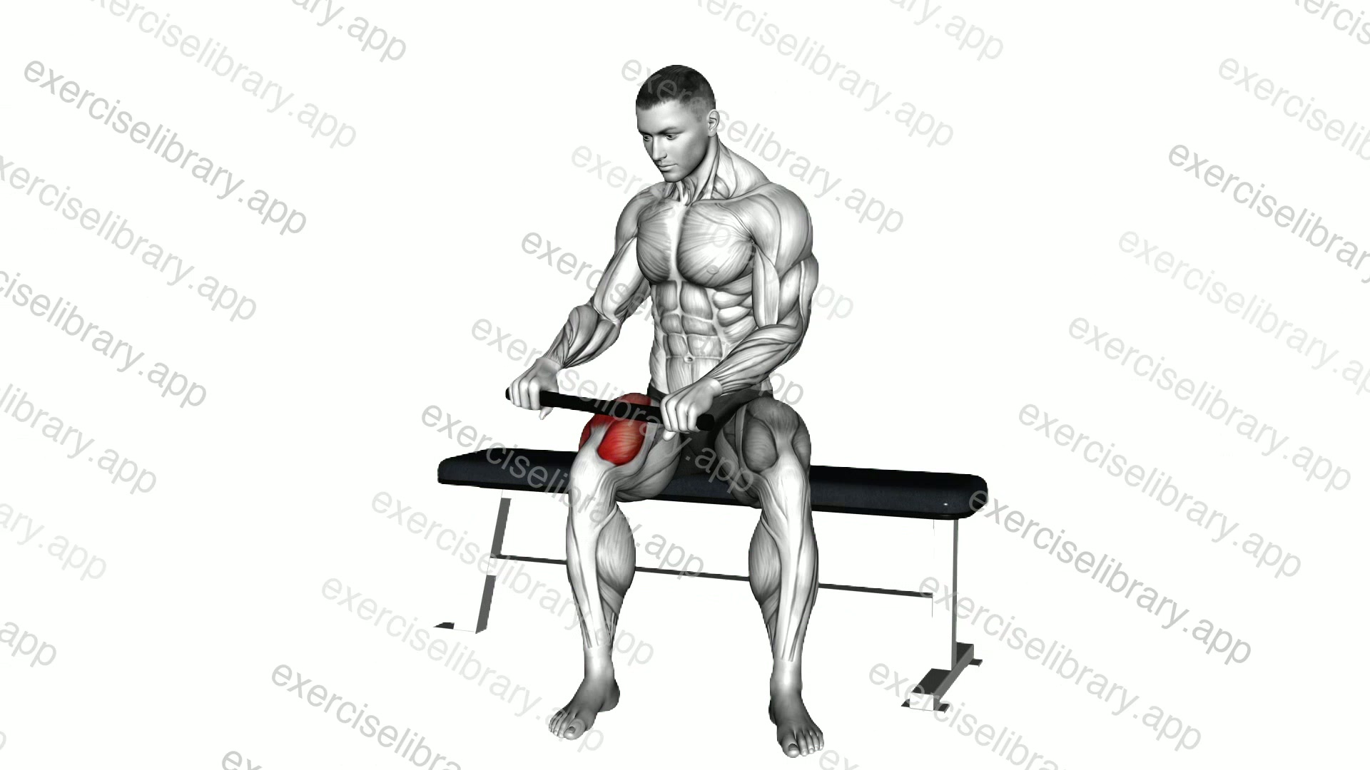 Stick Sitting Roll Leg demonstration