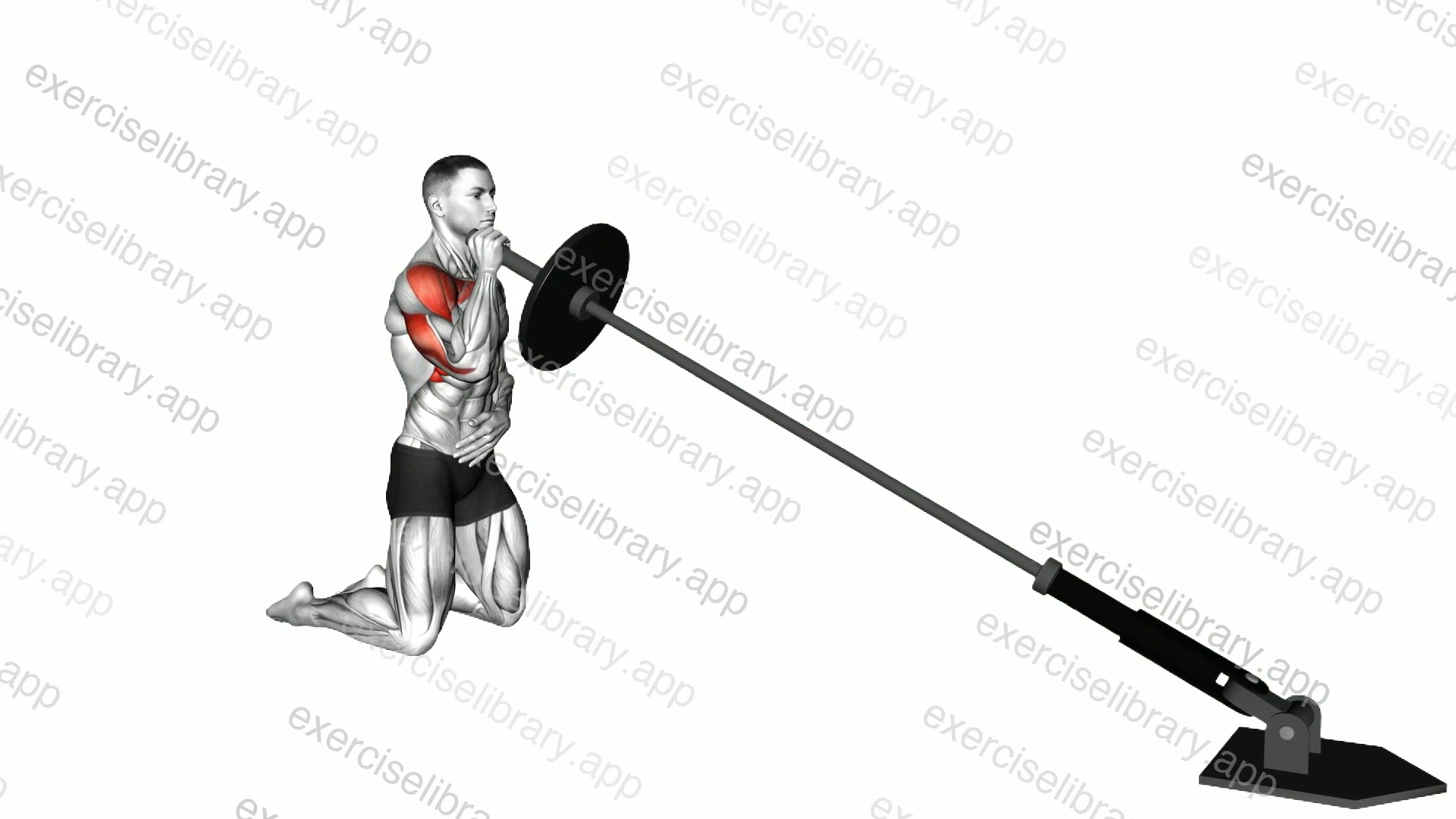 Landmine Kneeling Single Arm Shoulder Press demonstration