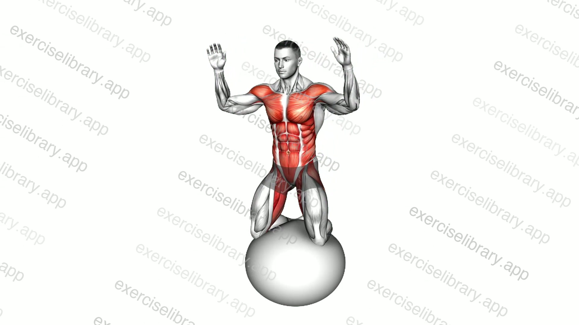 Kneeling Body Mobilization on Exercise Ball demonstration