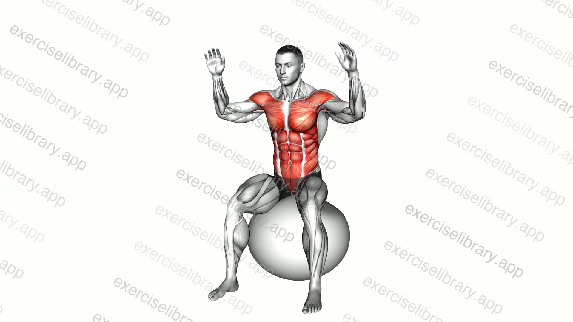 Sitting Body Mobilization on Exercise Ball demonstration