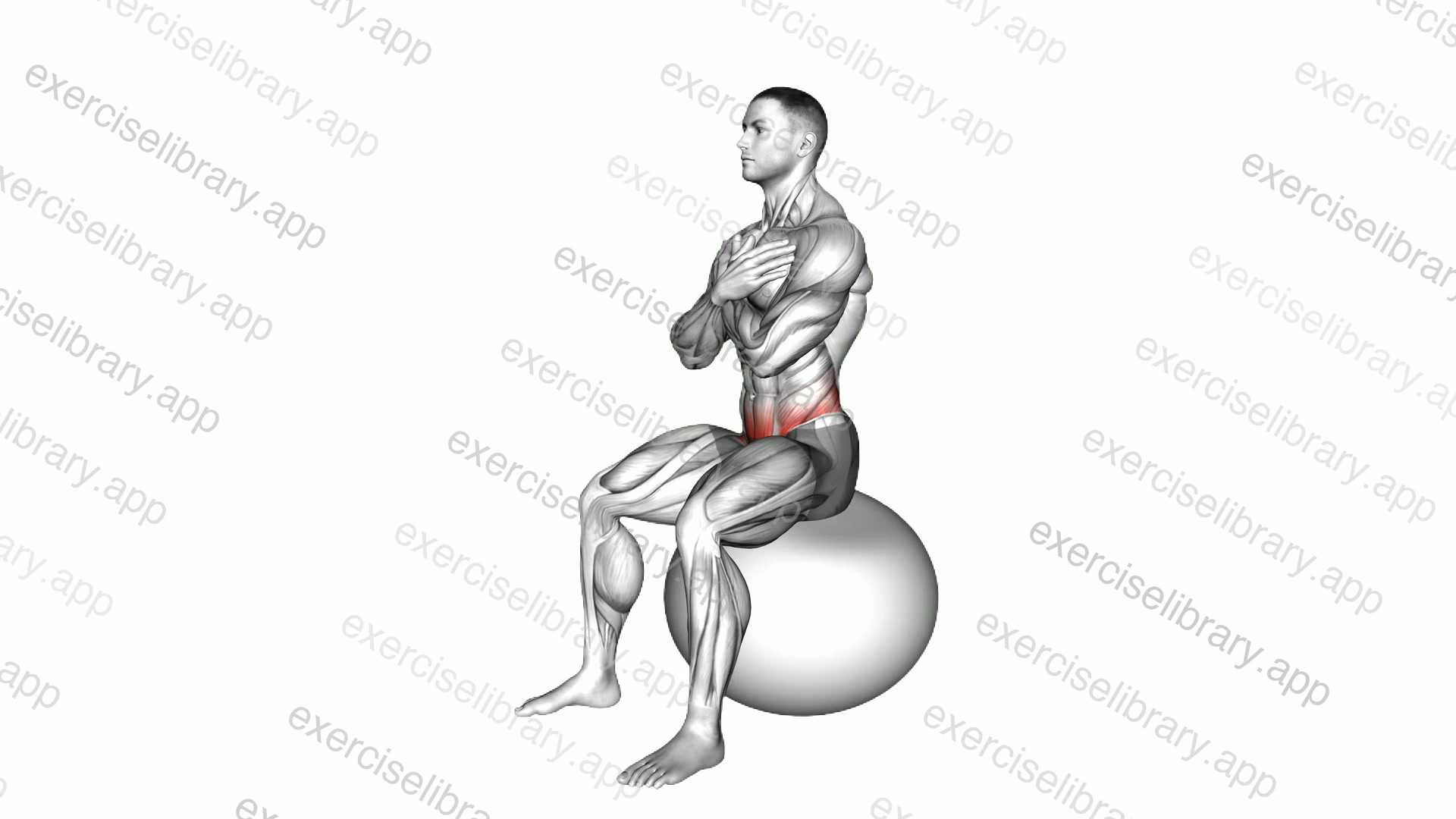 Sitting Hip Mobilization on Exercise Ball demonstration