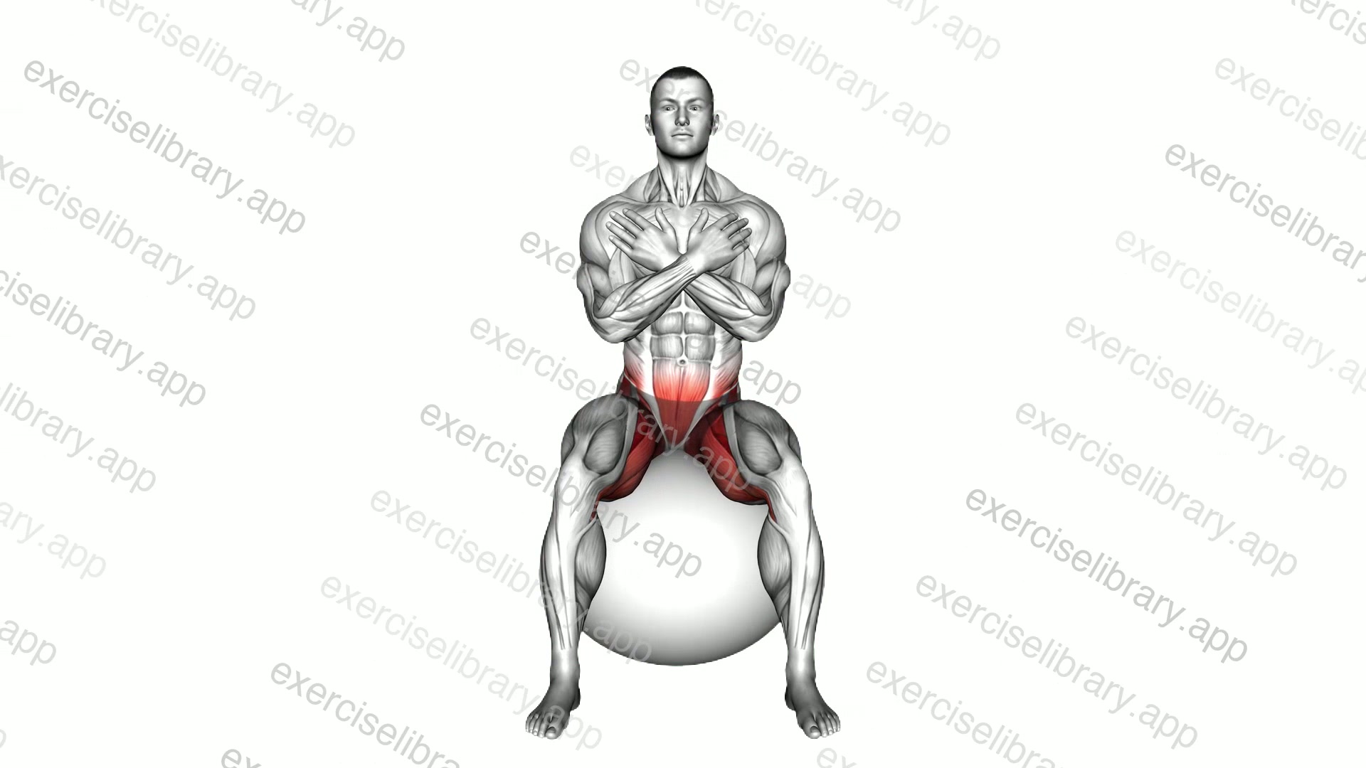 Sitting Hip Mobilization Circle on Exercise Ball demonstration