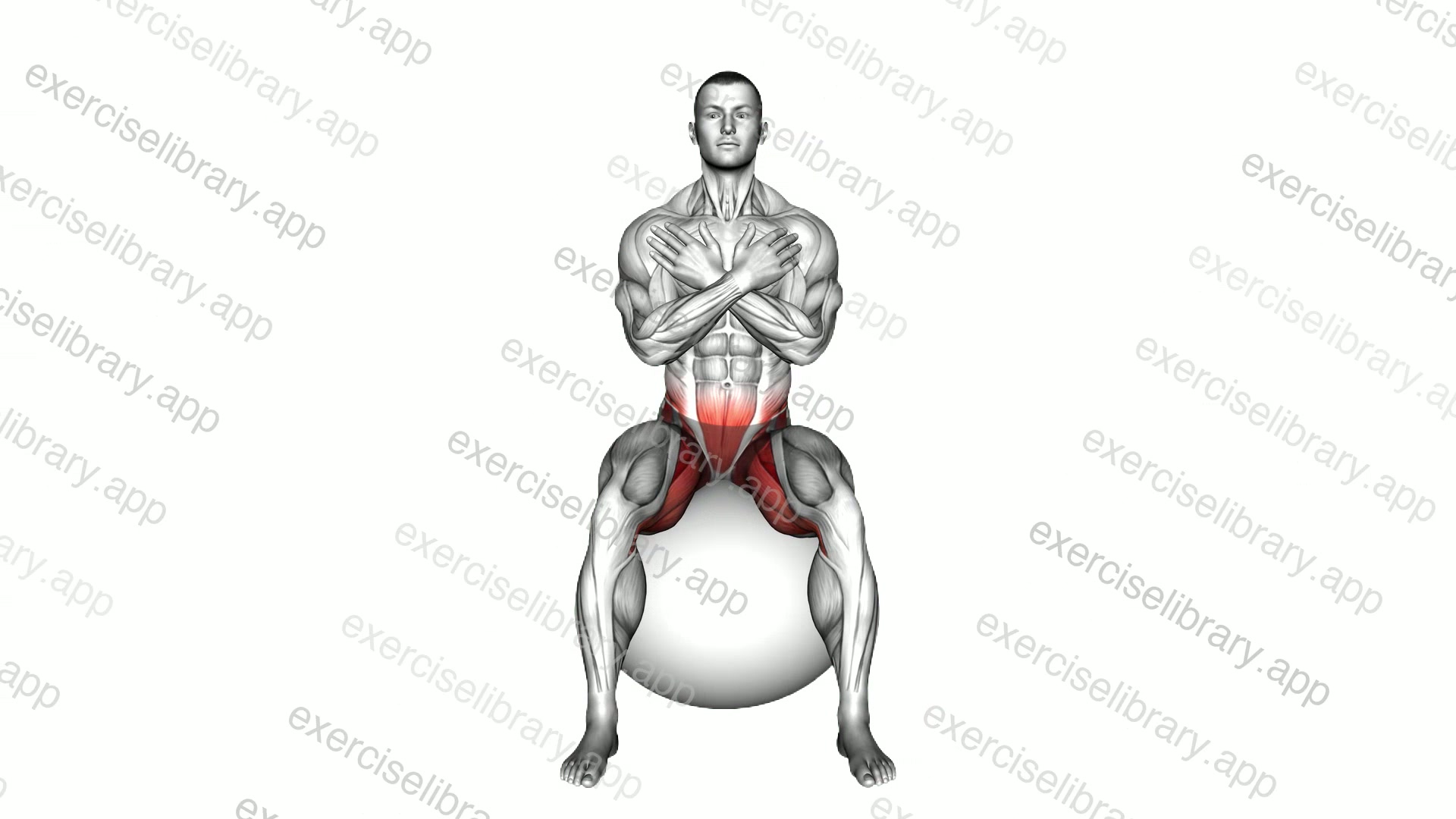 Sitting Side to Side Hip Mobilization on Exercise Ball demonstration