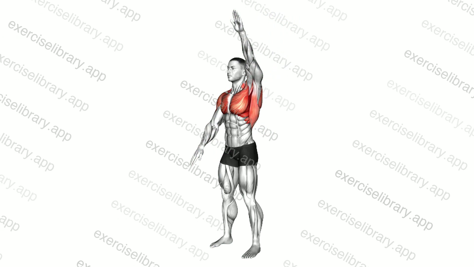 Standing Alternating Arms Swing demonstration