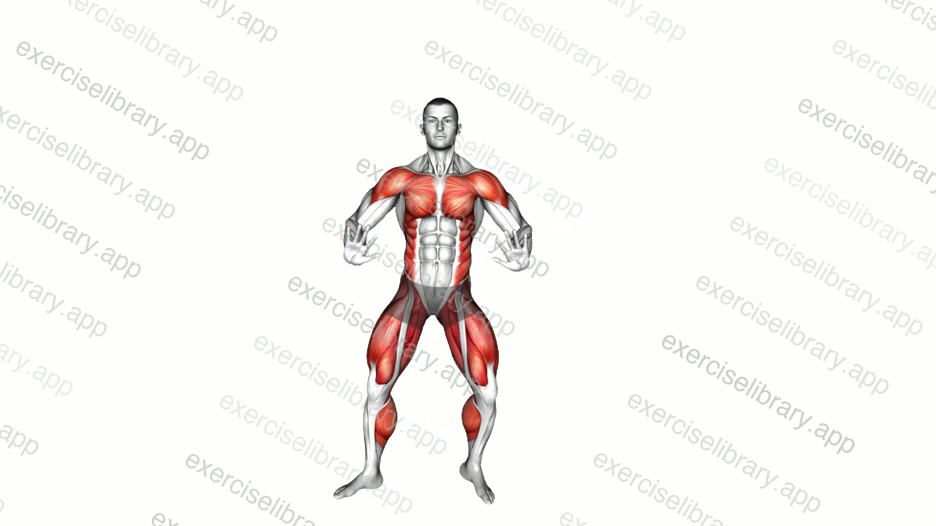Side Step Rainbow Arms demonstration