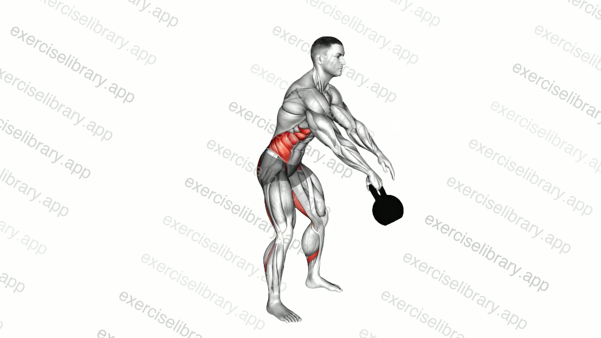 Kettlebell Alternating Swing demonstration