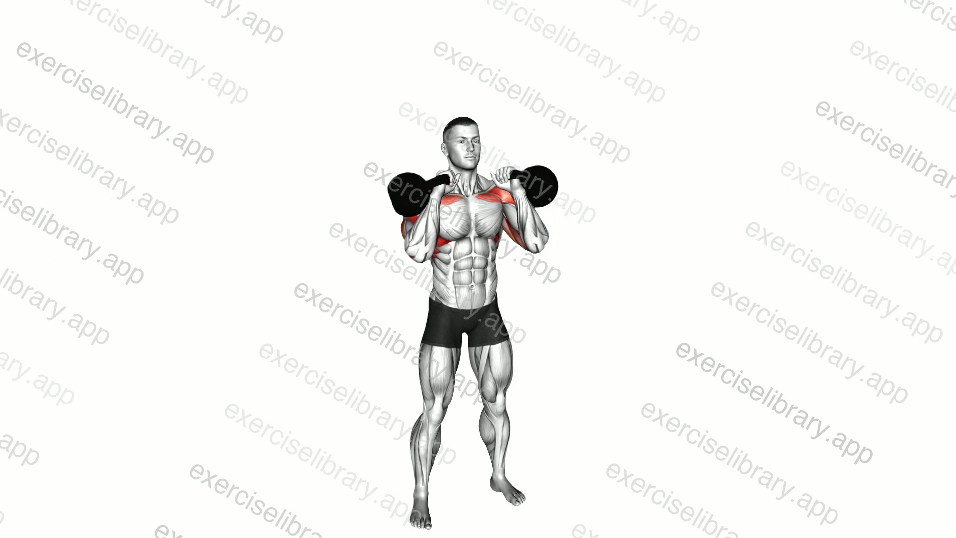 Kettlebell Double Strict Press demonstration