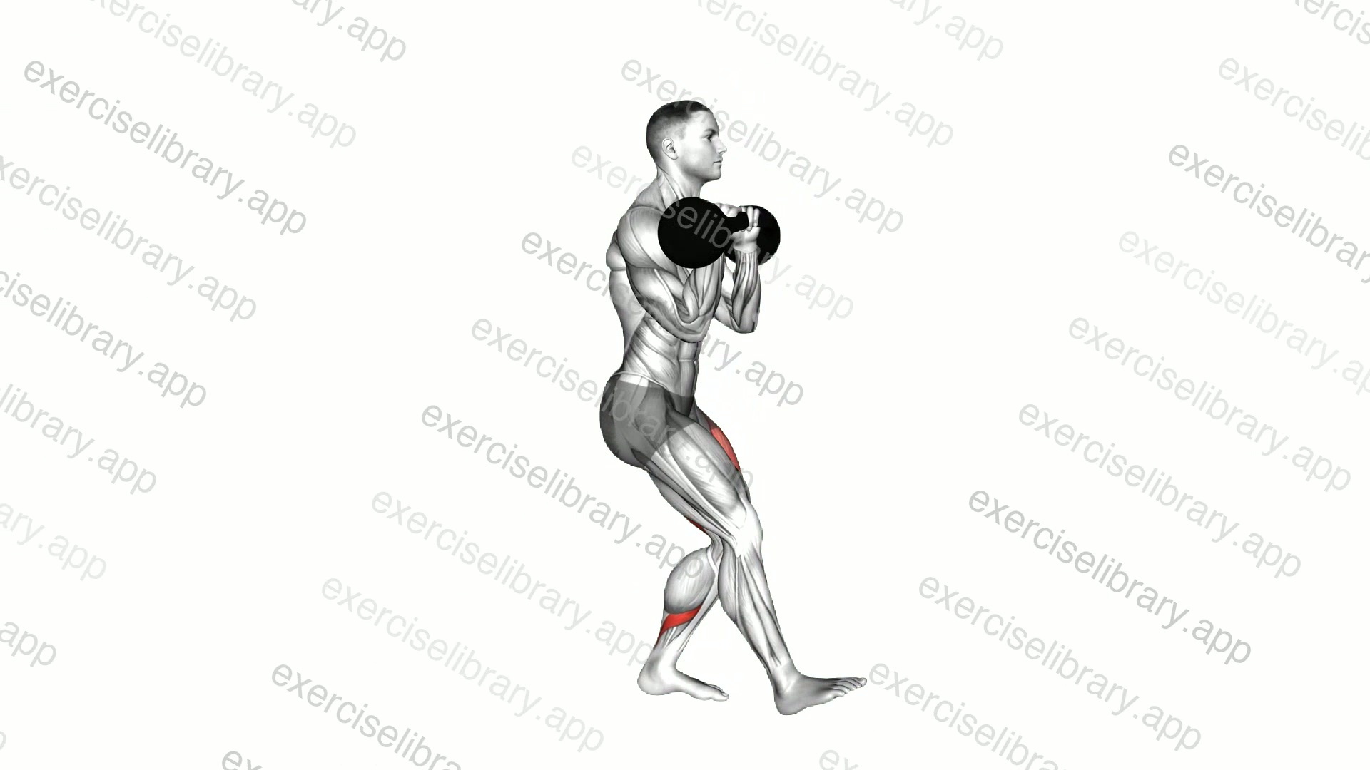 Kettlebell Double Rack Pistol Squat demonstration