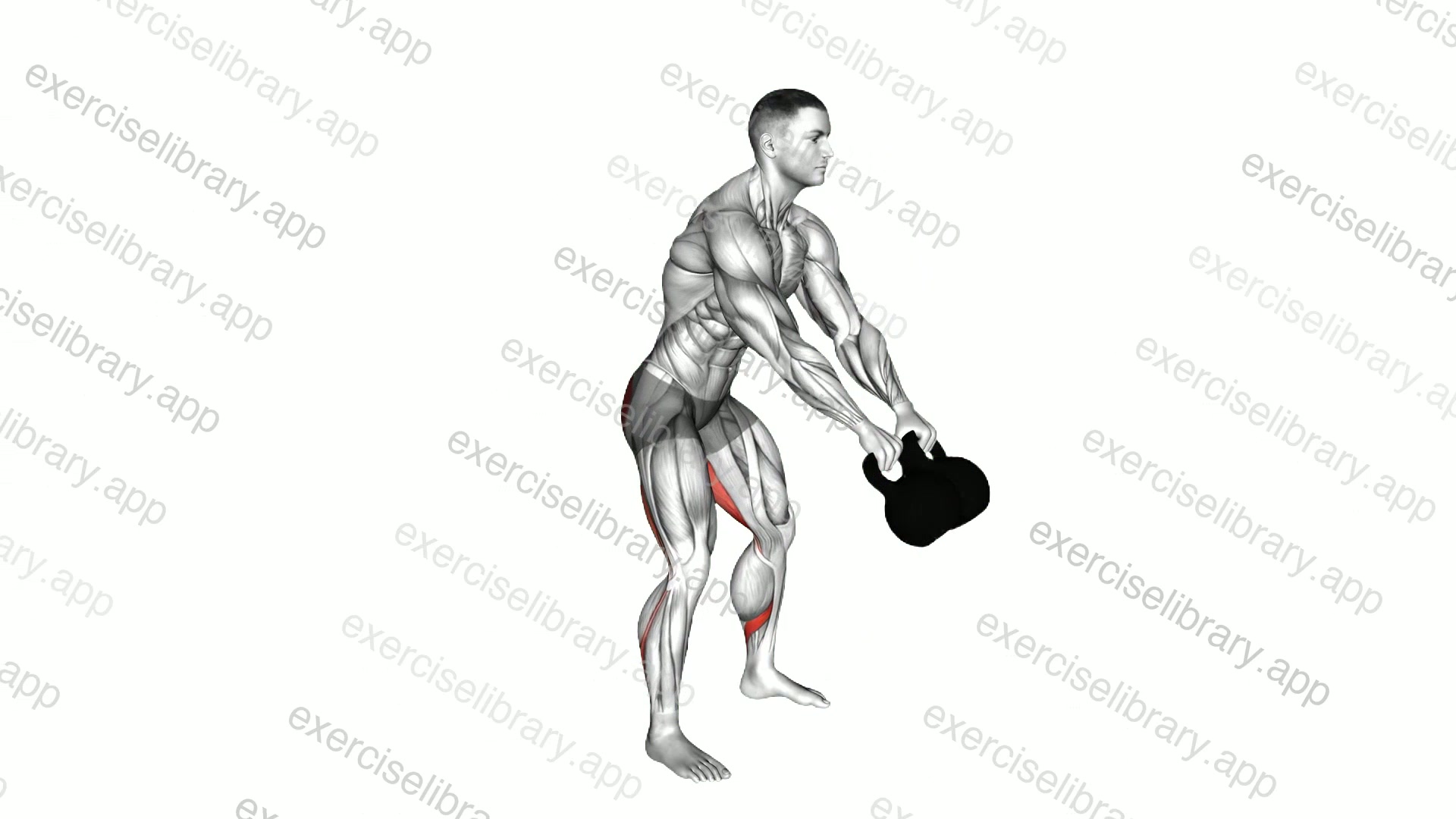 Kettlebell Double Swing demonstration