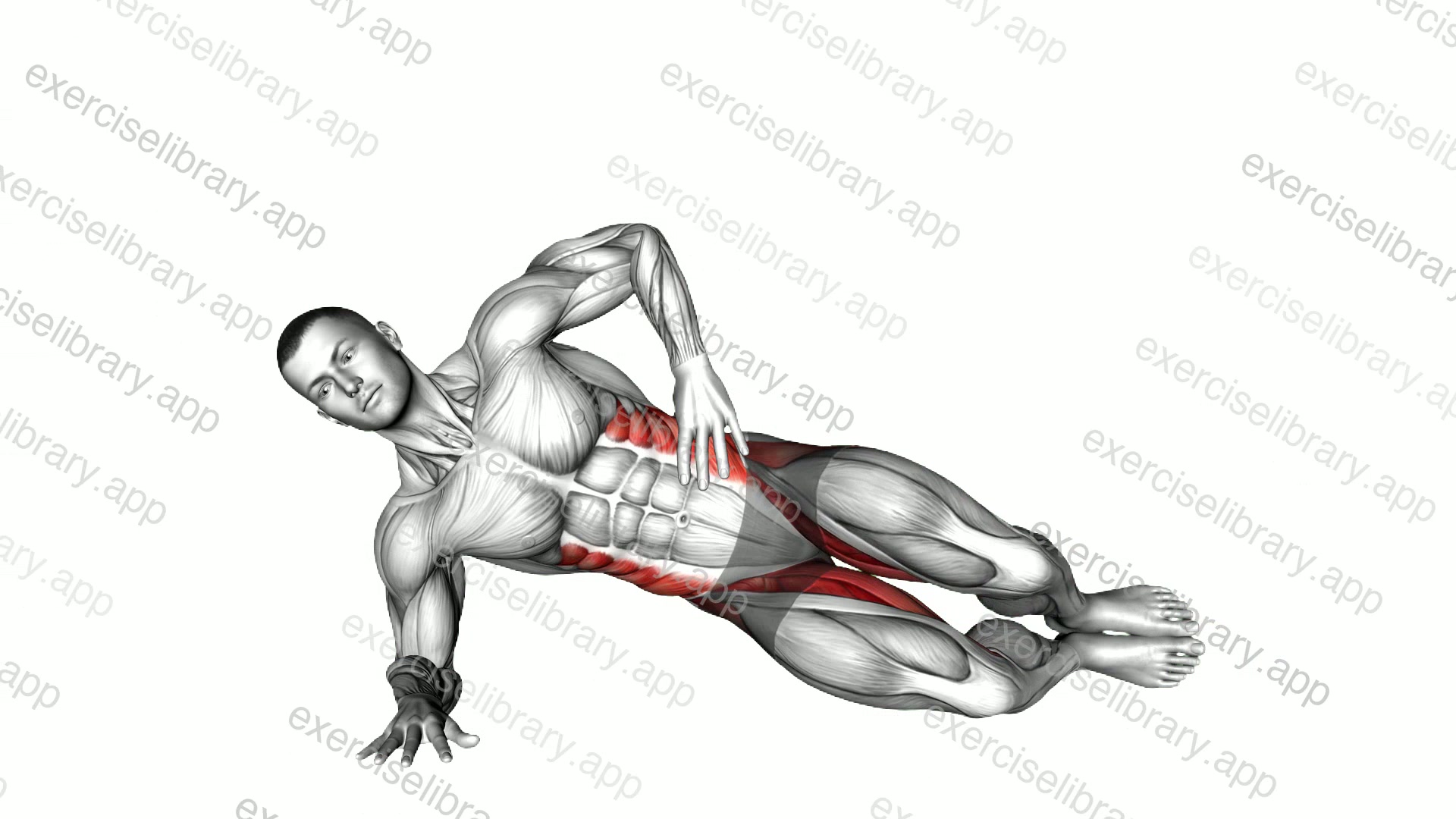 Side Plank Clamshell demonstration