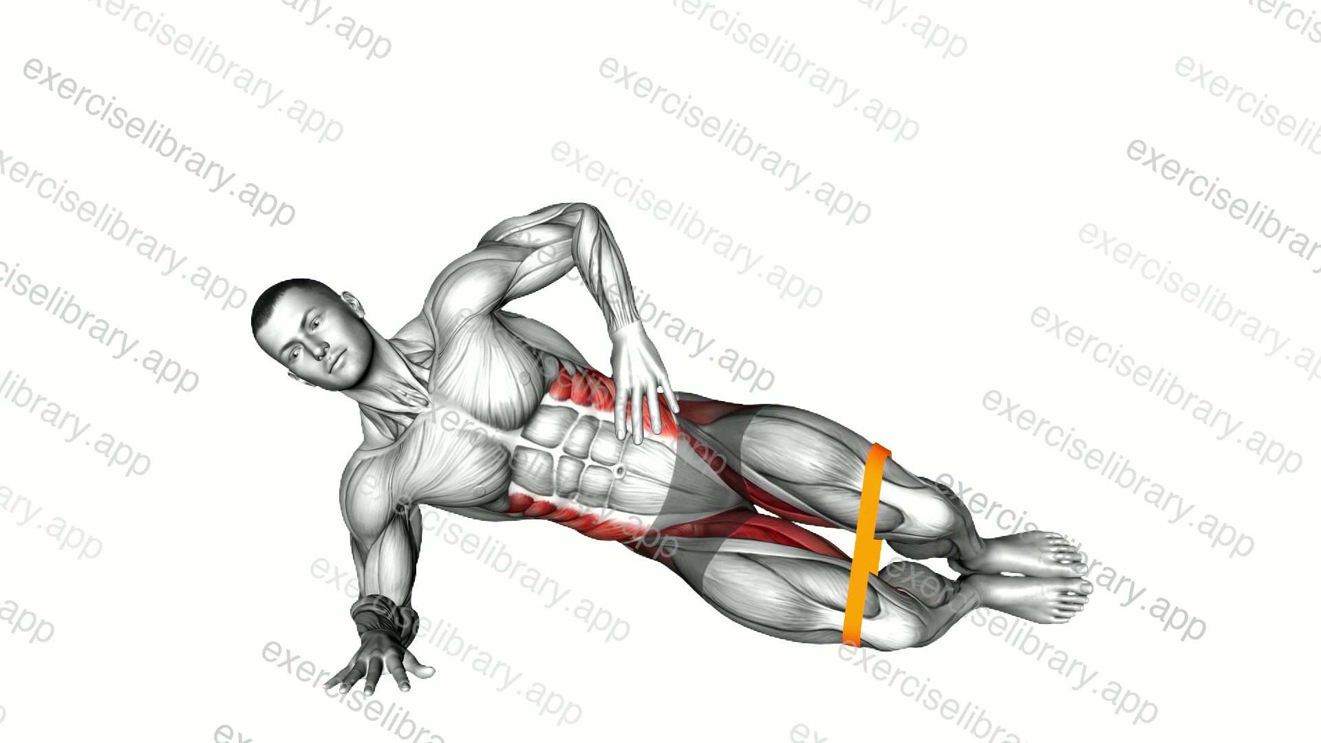 Resistance Band Side Plank Clamshell demonstration