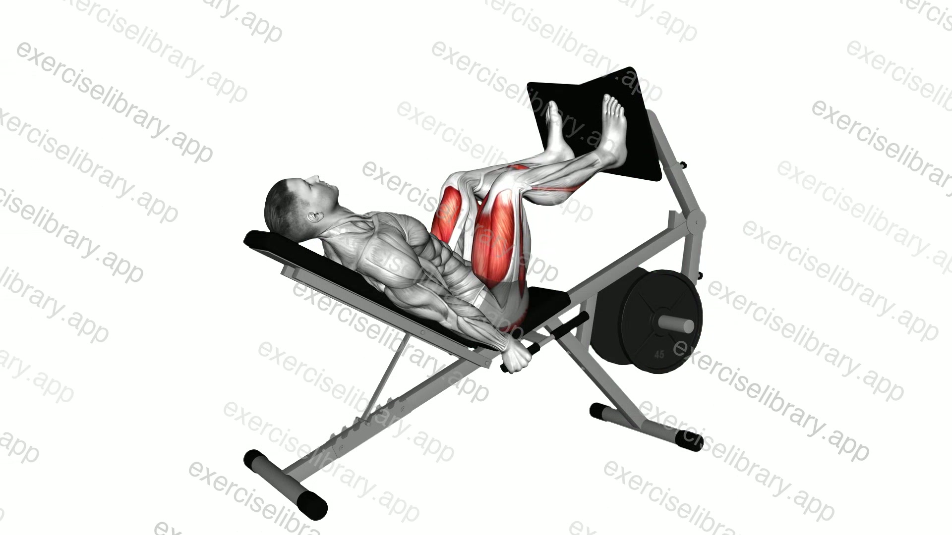 Lever Bench Leg Press demonstration