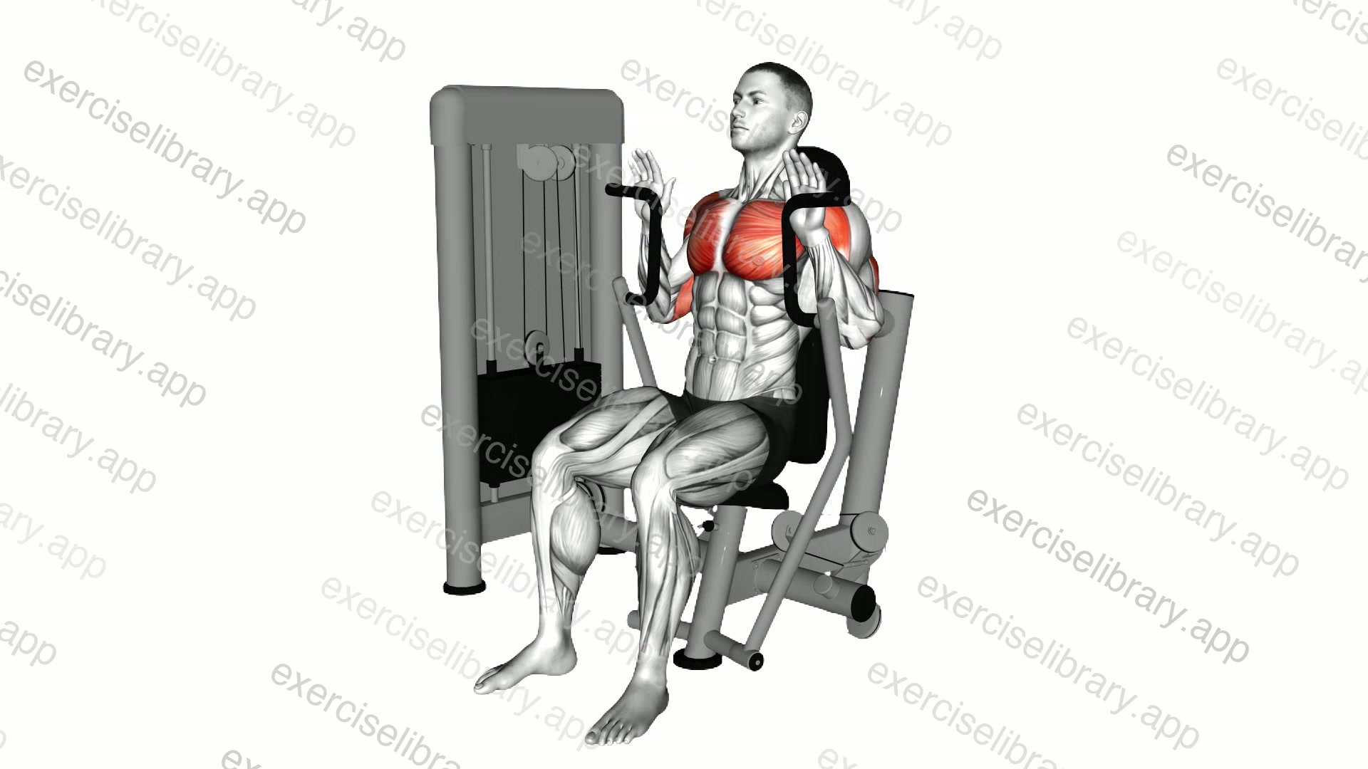 Lever Sitting JM Press demonstration