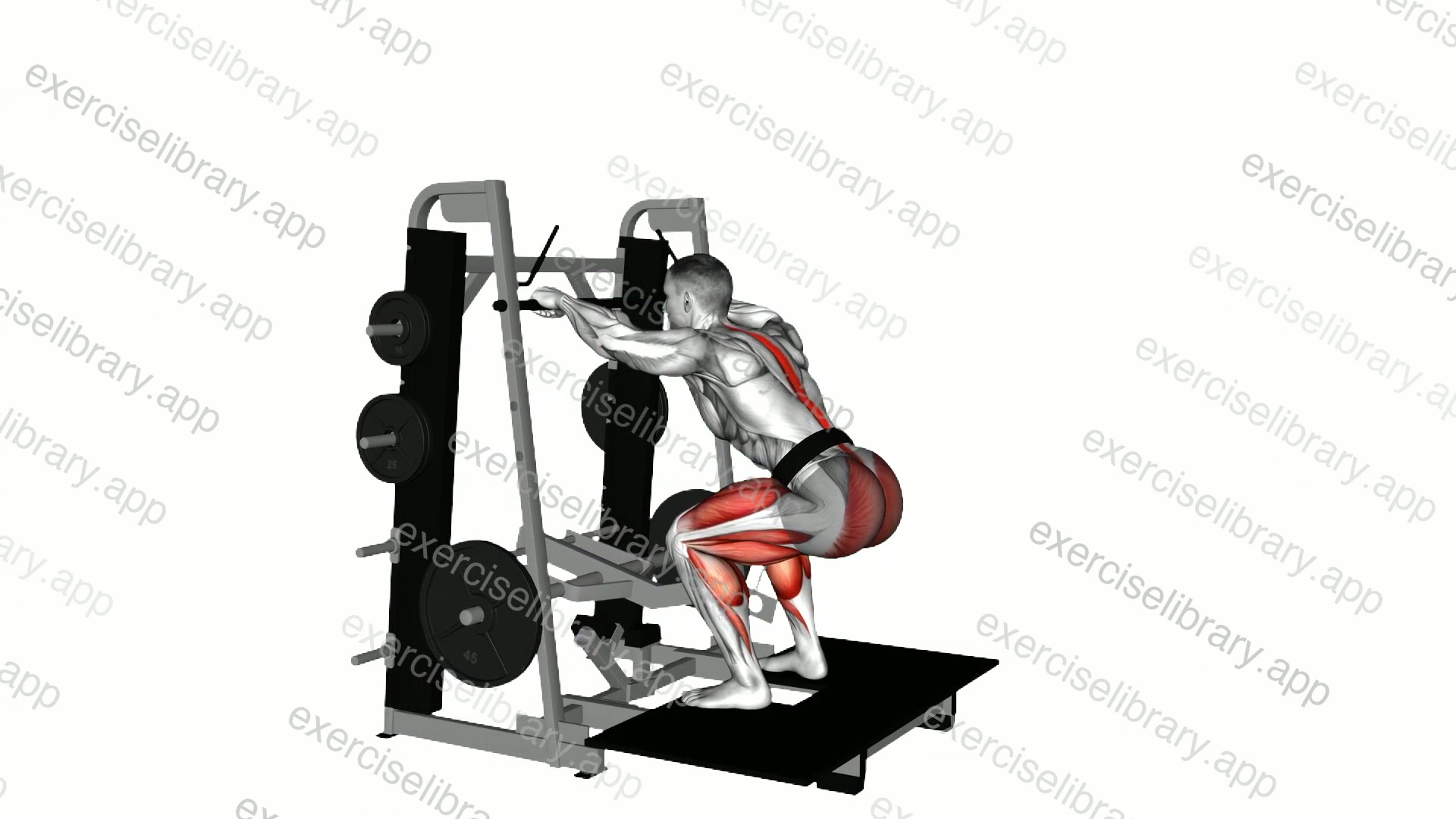 Lever Belt Deadlift demonstration