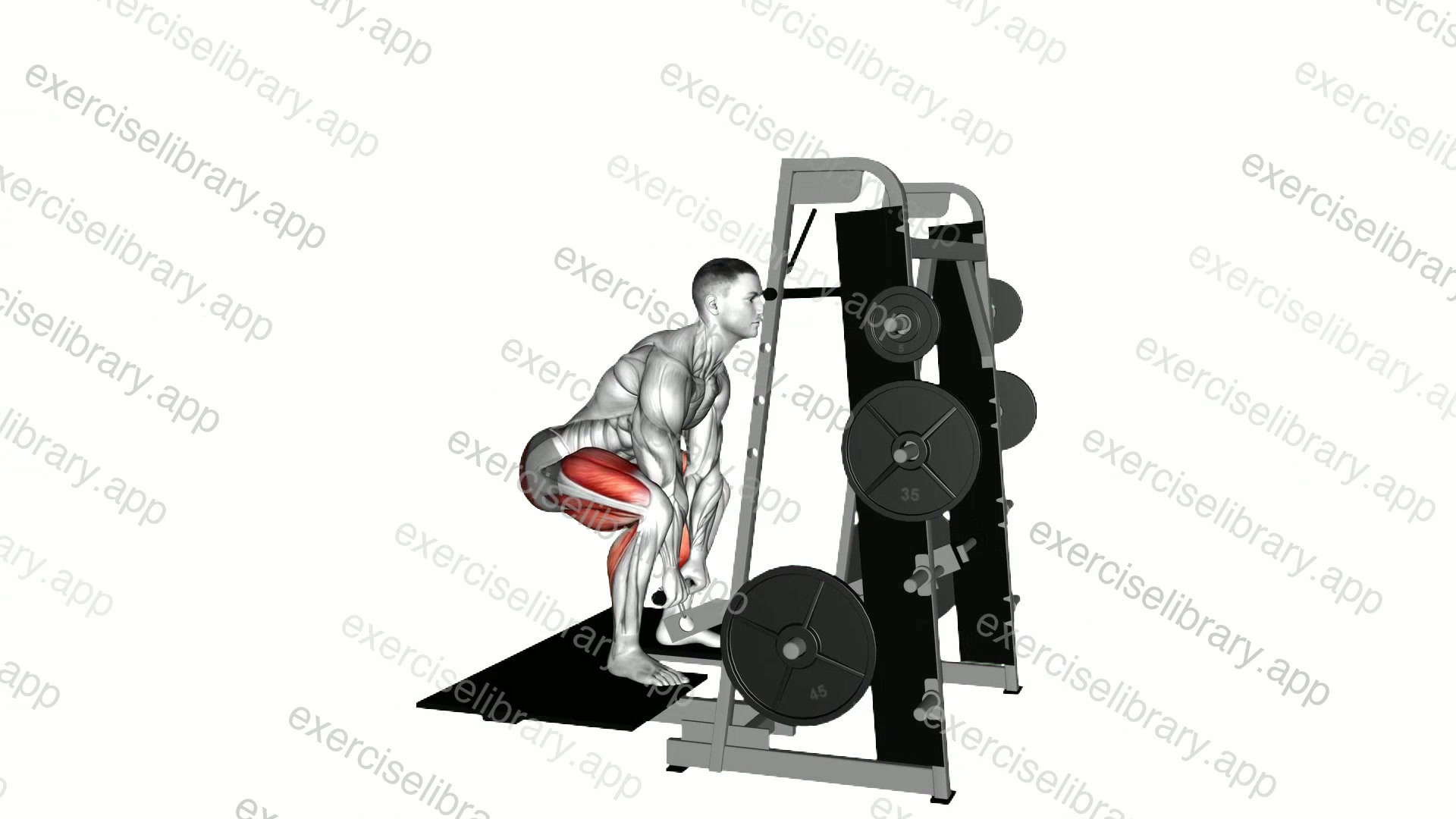 Lever Belt Deadlift demonstration
