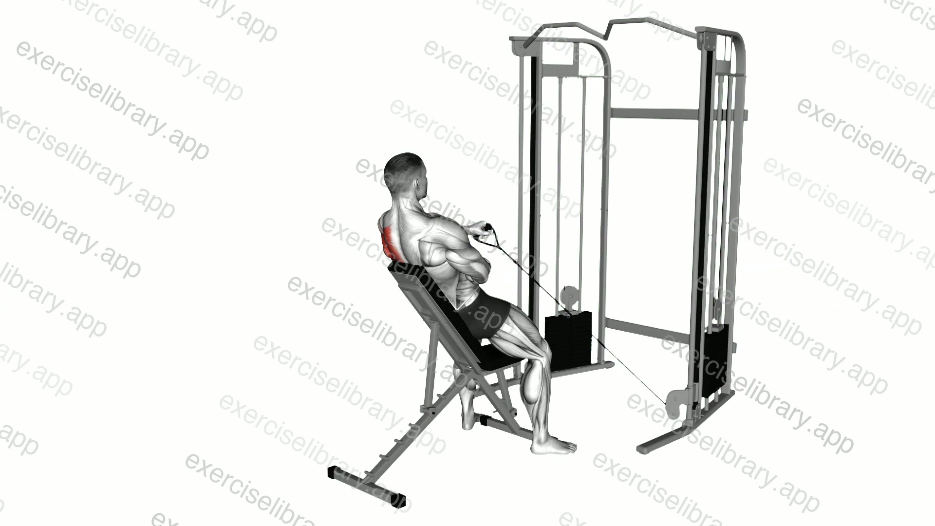 Cable Incline Single Arm Y Raise with Back Support demonstration