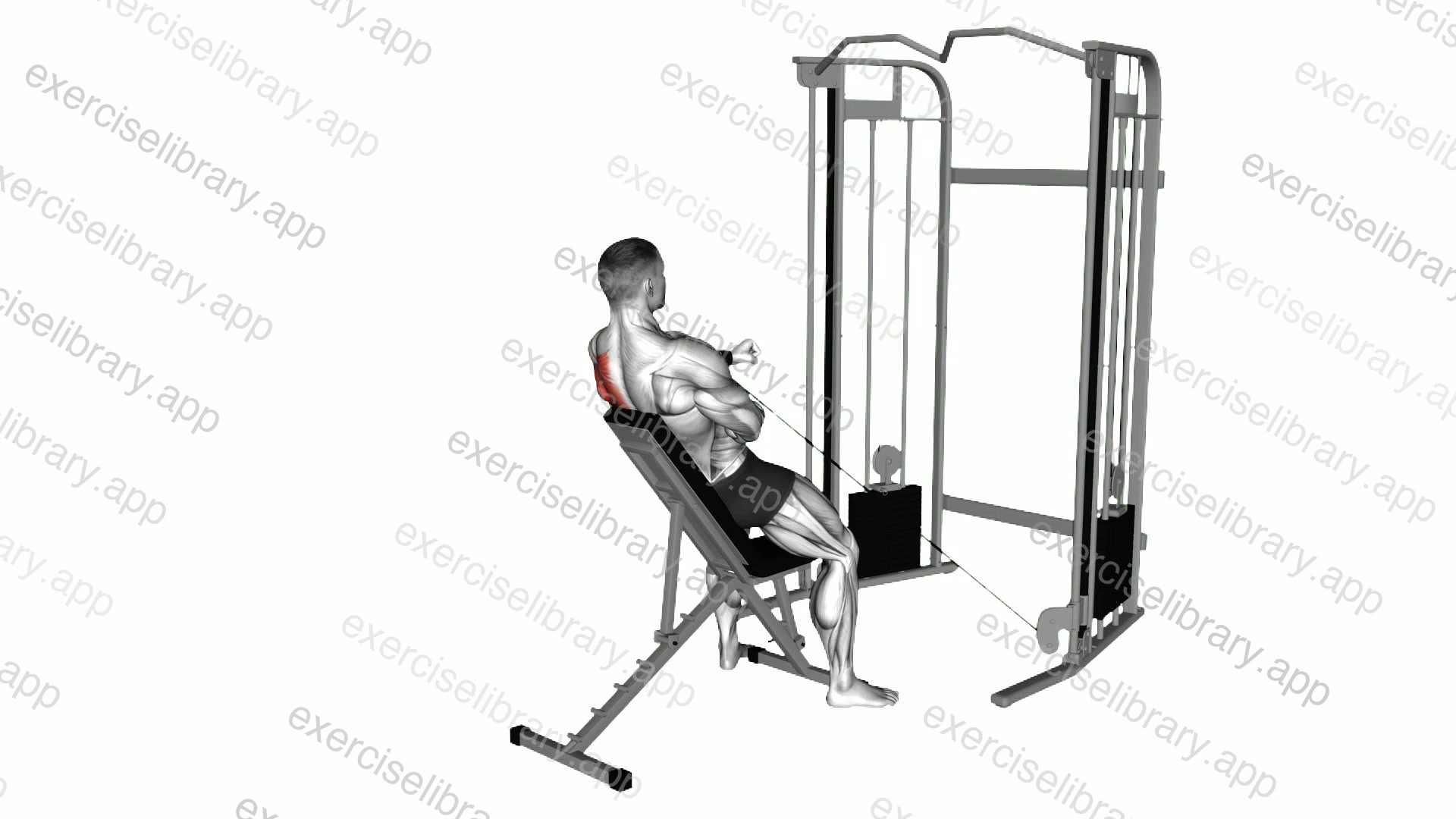 Cable Incline Single Arm Y Raise Wrist Straps with Back Support demonstration