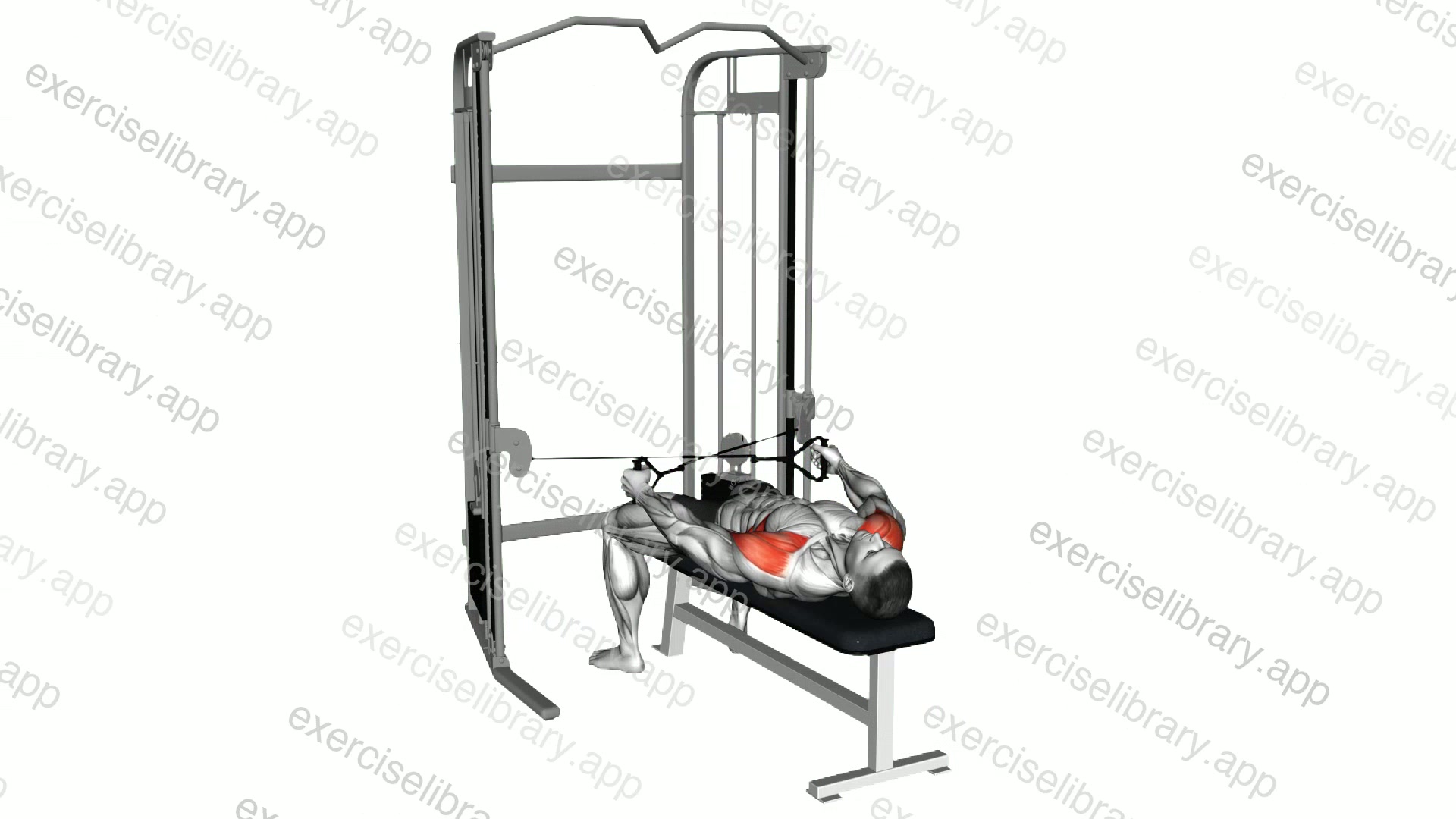 Cable Lying Bench Cross Lateral Raise demonstration