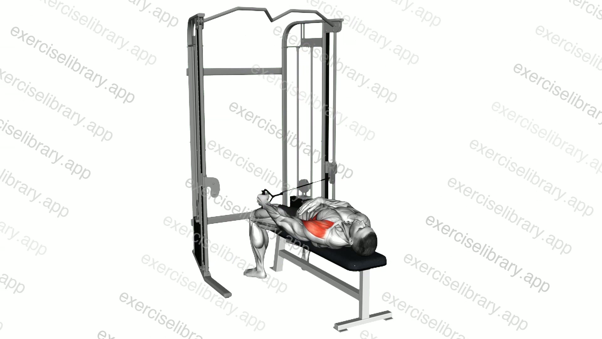 Cable Lying Bench Single Arm Cross Lateral Raise demonstration