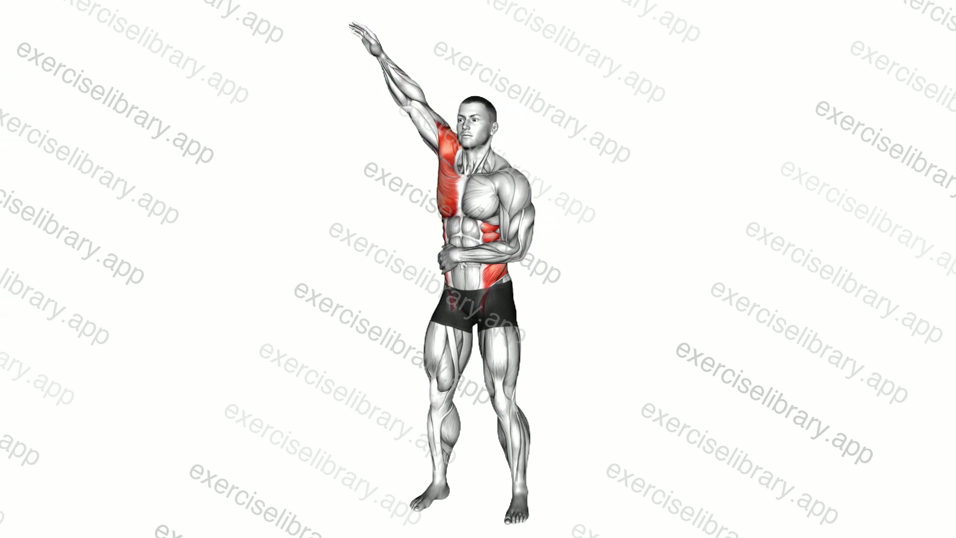 Standing Single Arm Circle with Torso Twist demonstration