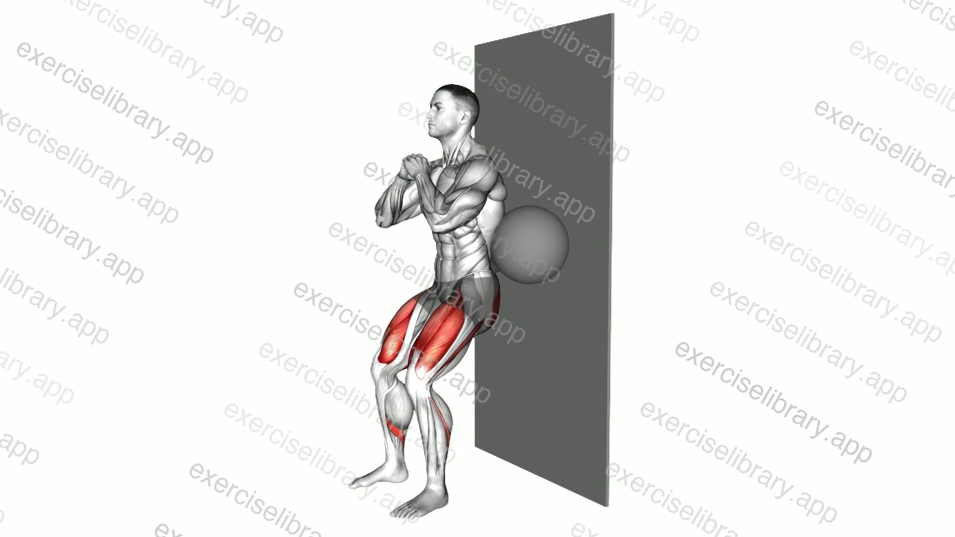Squat with Ball behind Back demonstration