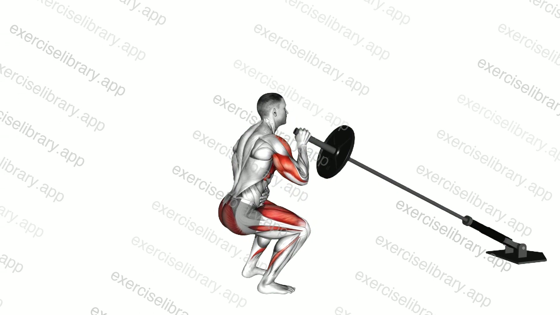 Landmine Single Arm Shoulder Press Squat demonstration