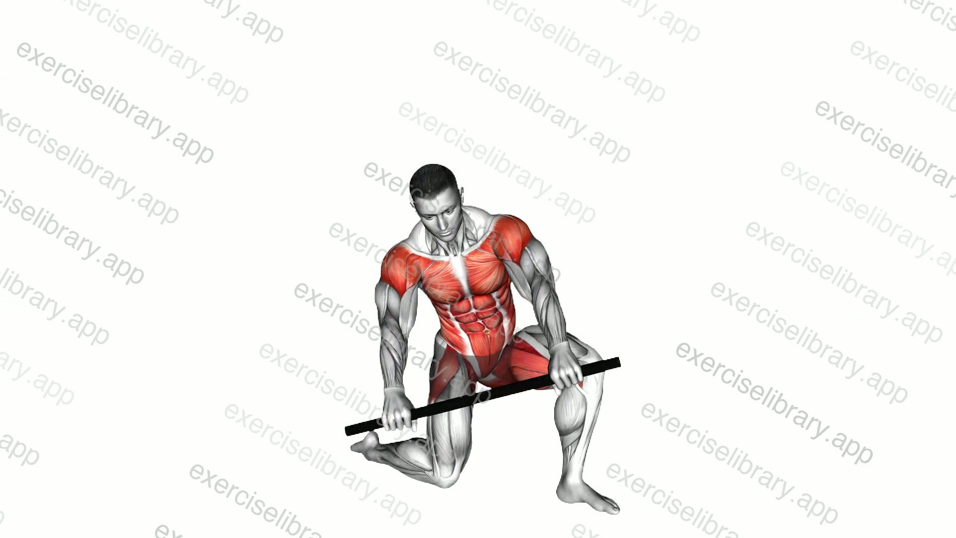 Stick Half Kneeling Flexion Extension Rotation demonstration